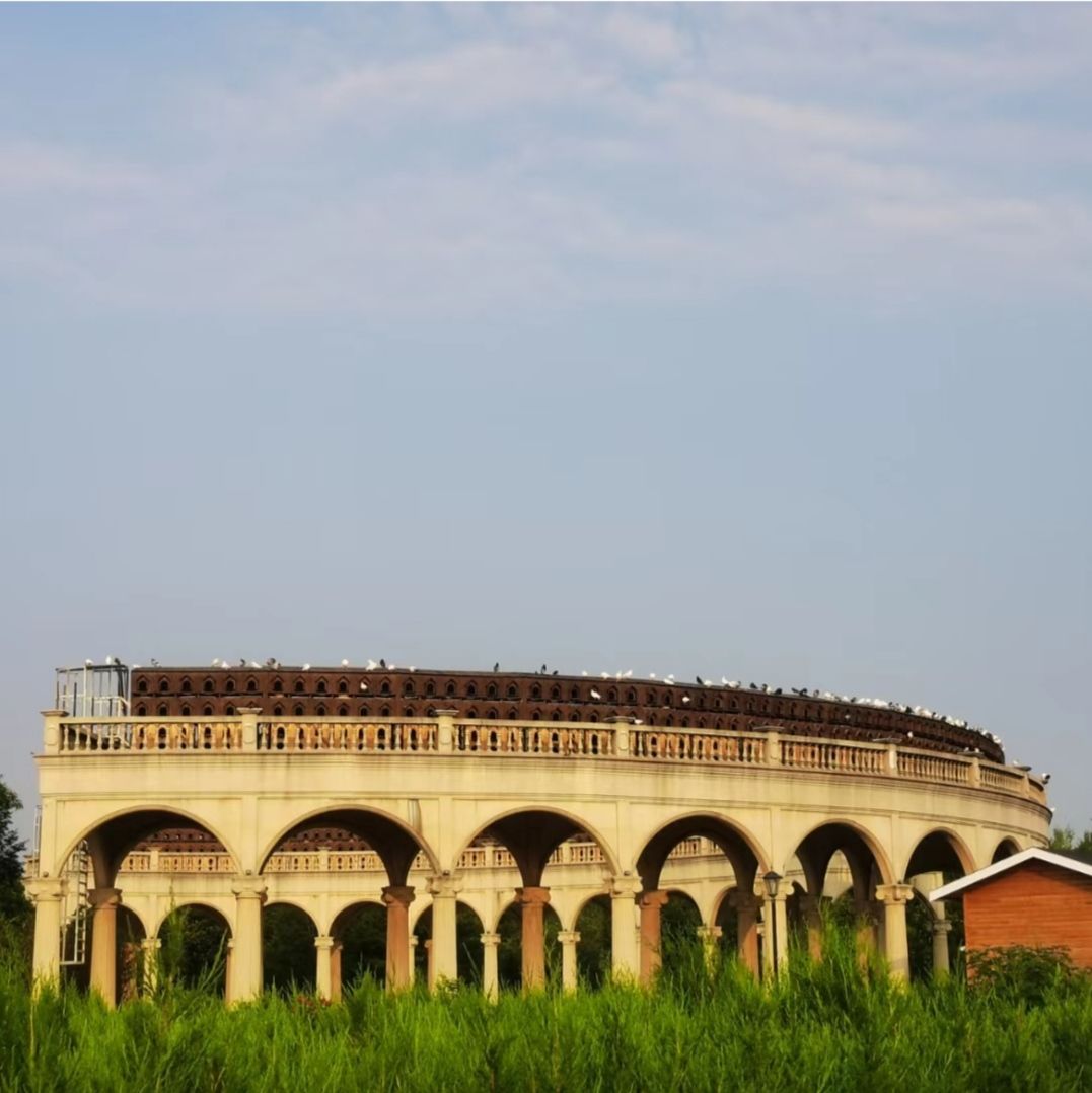 林拥城·药都林海景区旅行图片 2