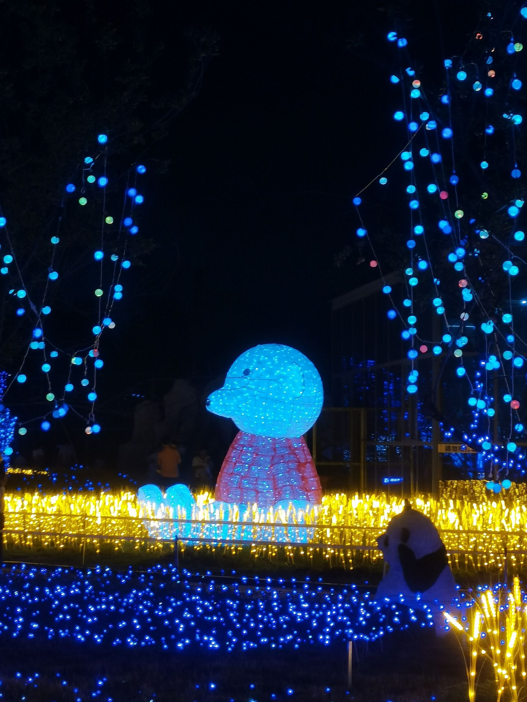 林拥城·药都林海景区旅行图片 2