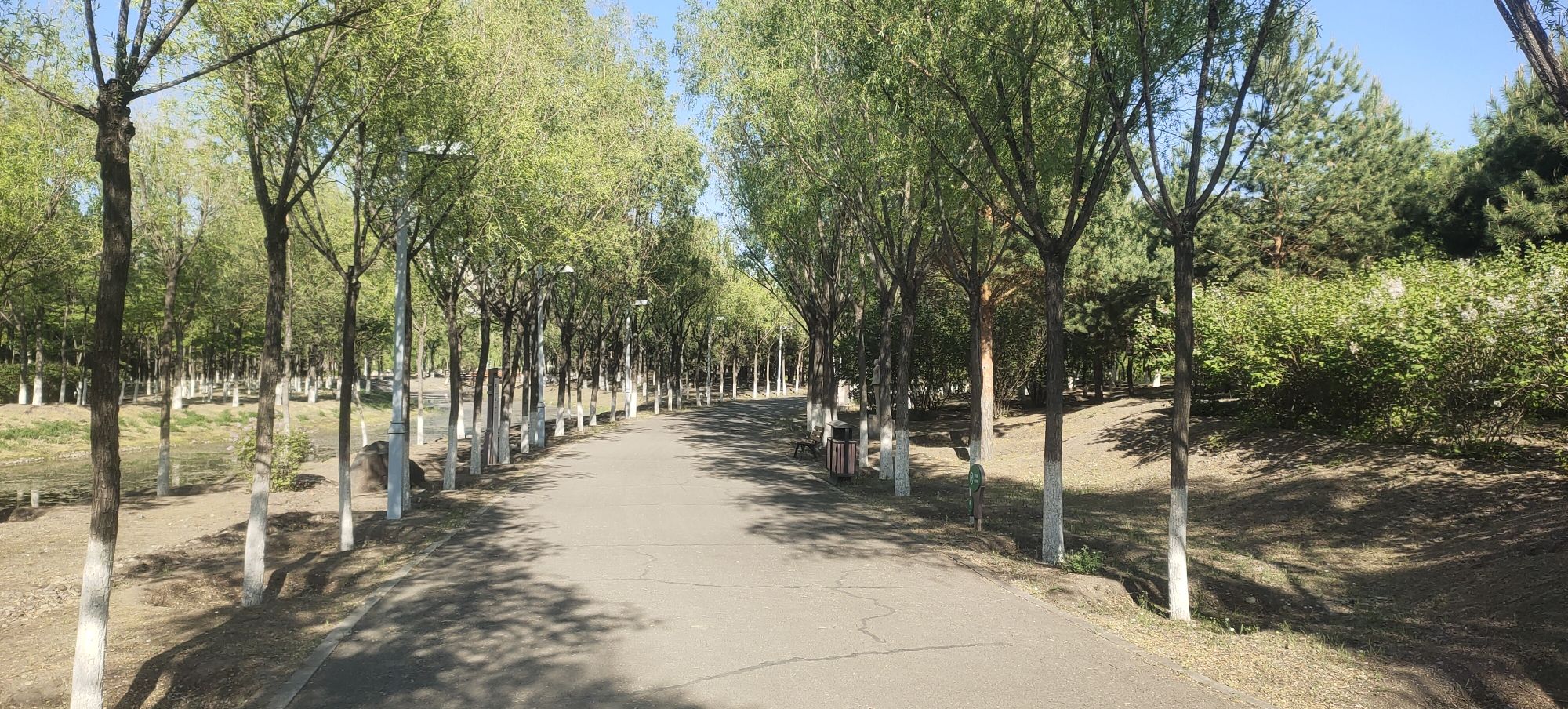 乌兰浩特市中心公园旅行图片 1