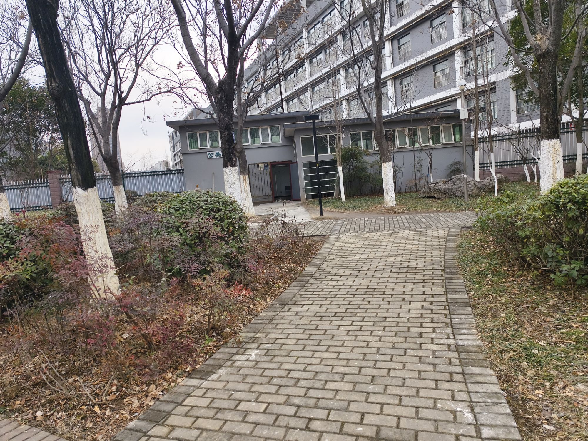 界洪河景观公园旅行图片 2