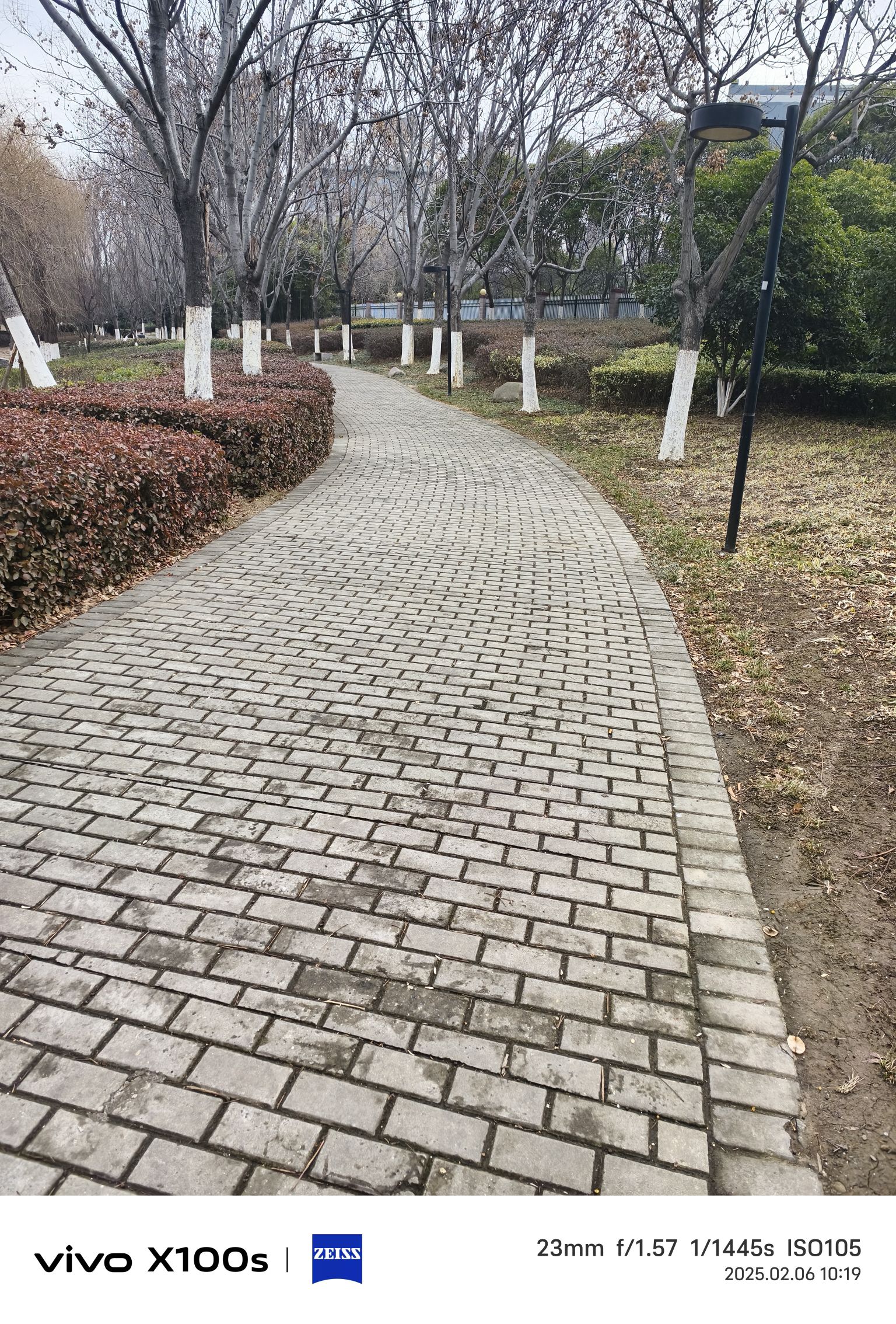界洪河景观公园旅行图片 3