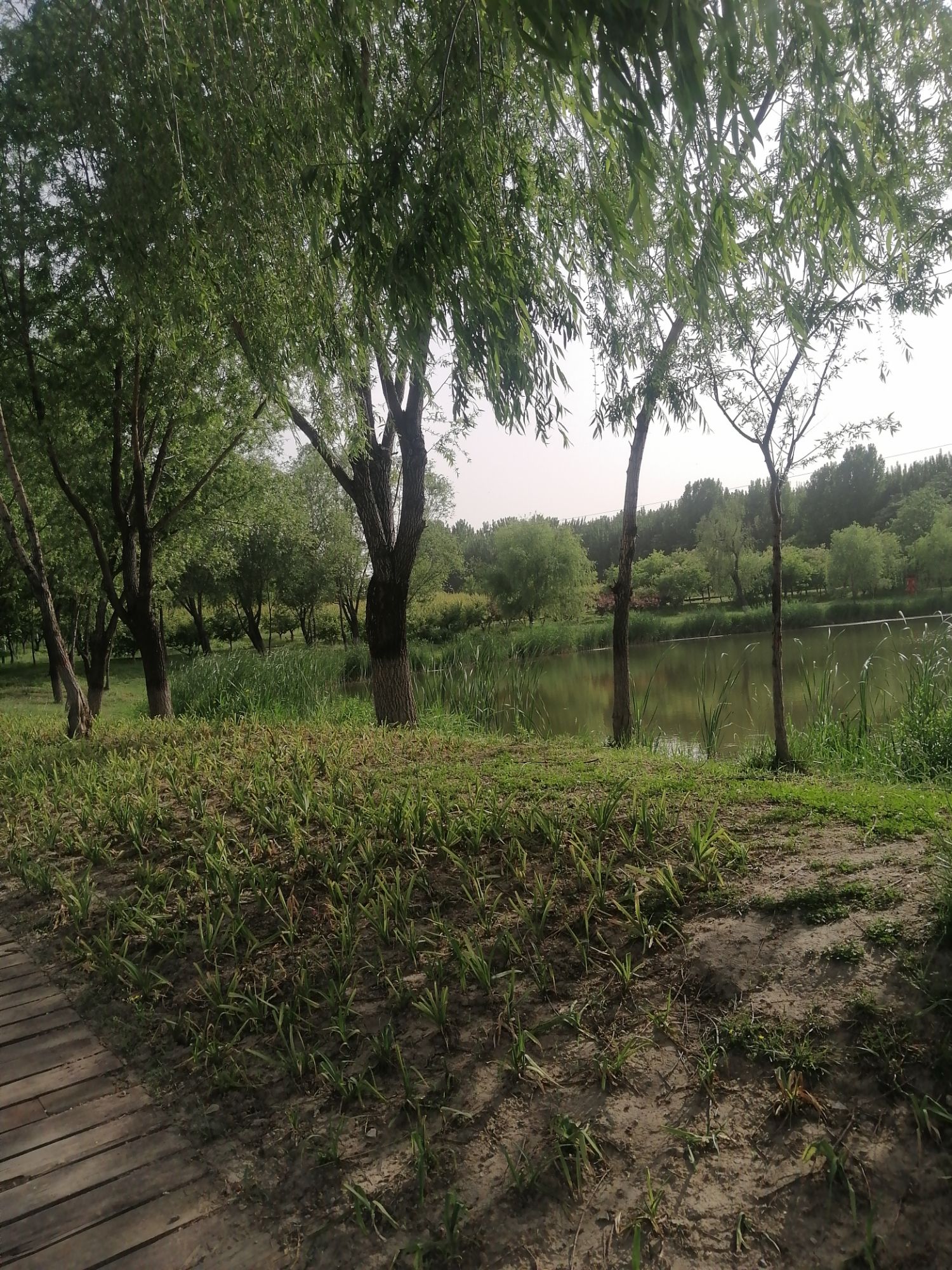 杏花沟生态公园旅行图片 2