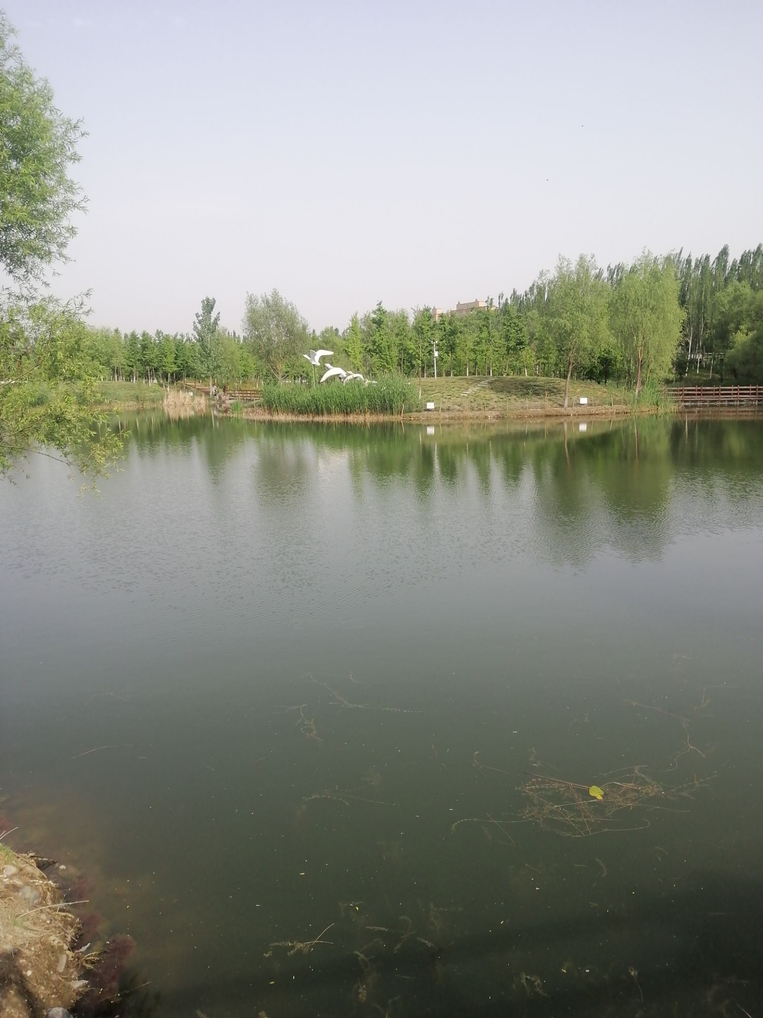 杏花沟生态公园旅行图片 1