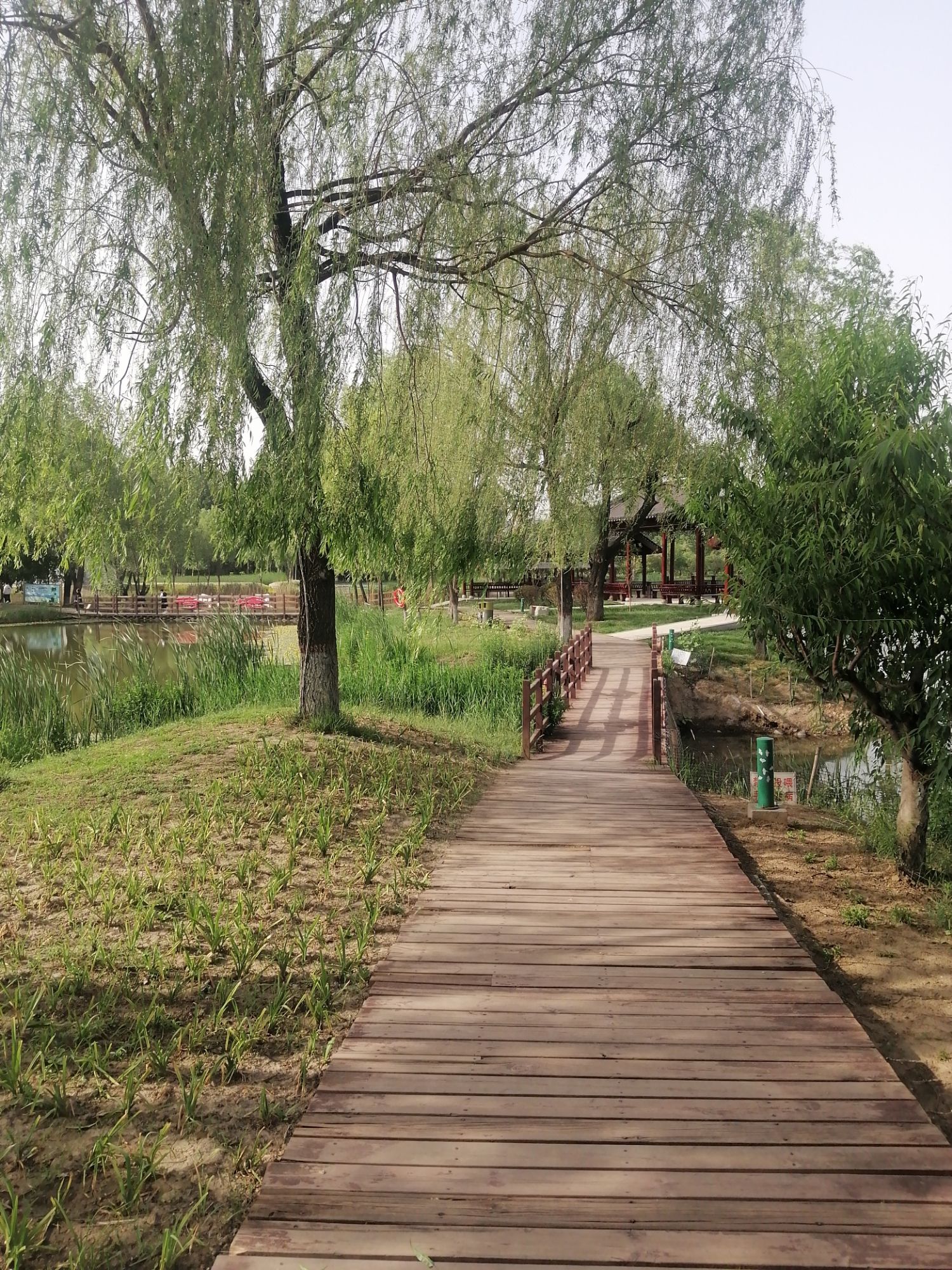 杏花沟生态公园旅行图片 3