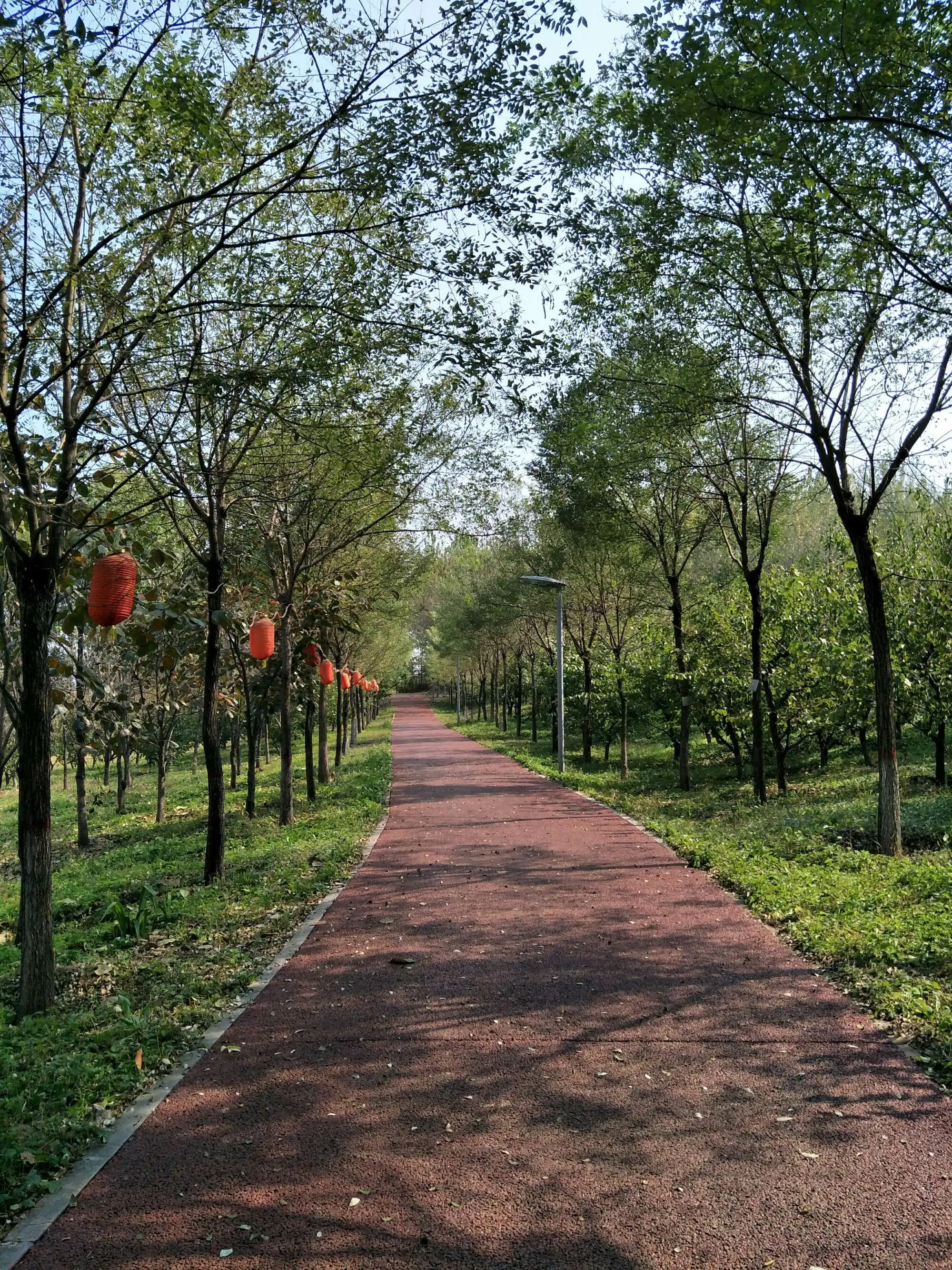 杏花沟生态公园旅行图片 2