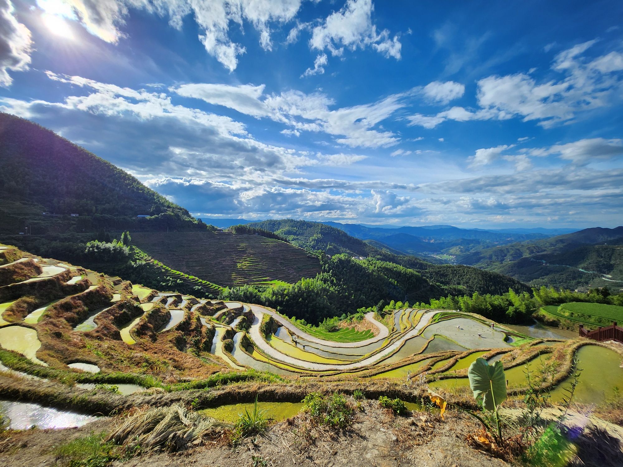 桃源梯田旅行图片 2