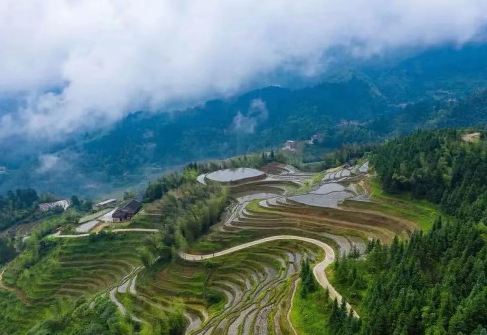 桃源梯田旅行图片 1