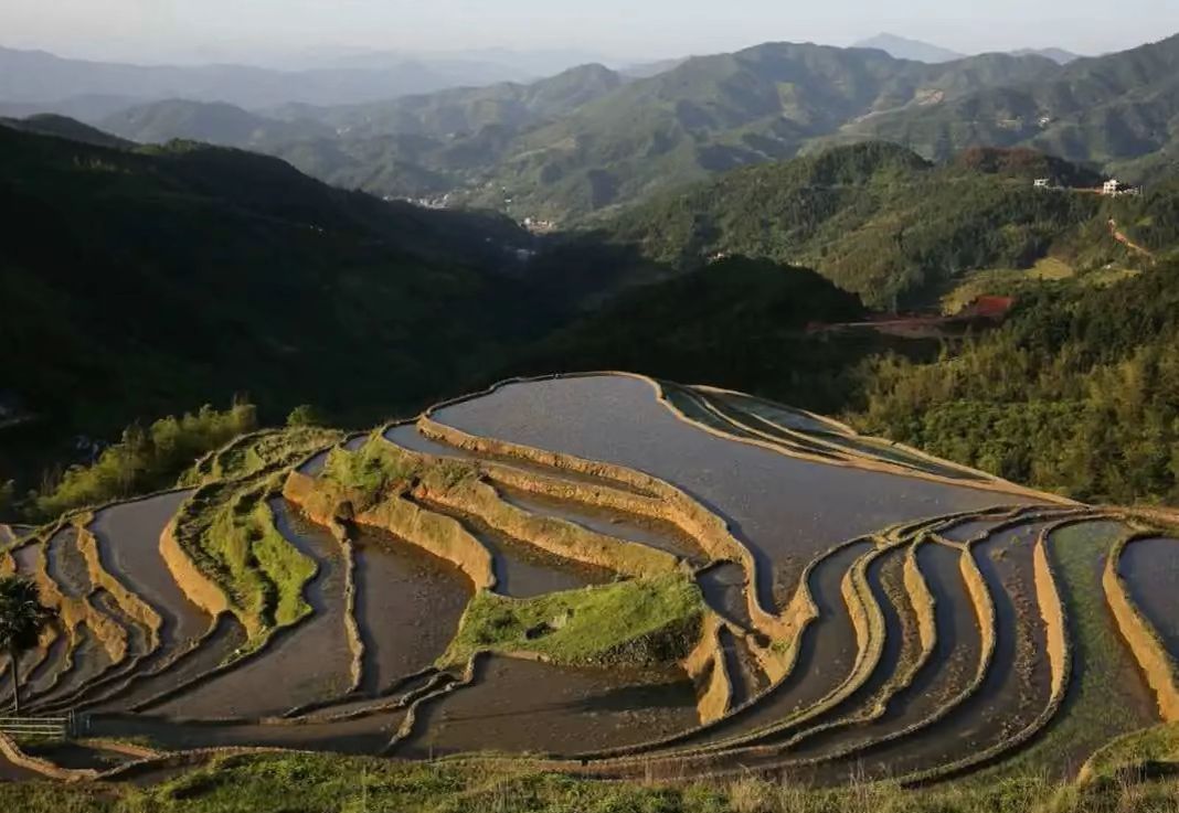 桃源梯田旅行图片 3