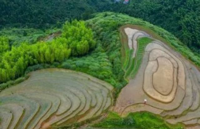 桃源梯田旅行图片 2