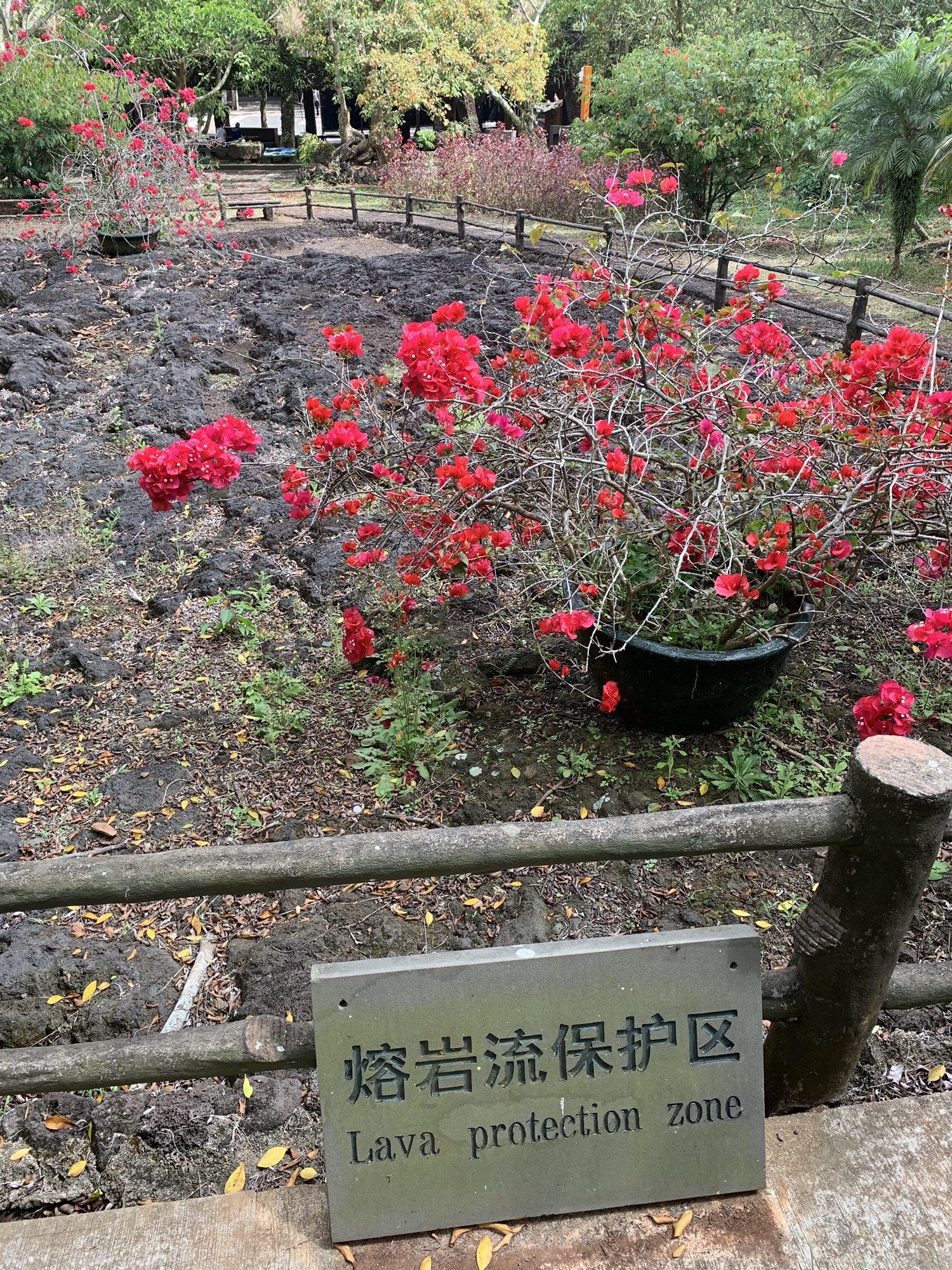 雷琼世界地质公园(海口园区)-熔岩流