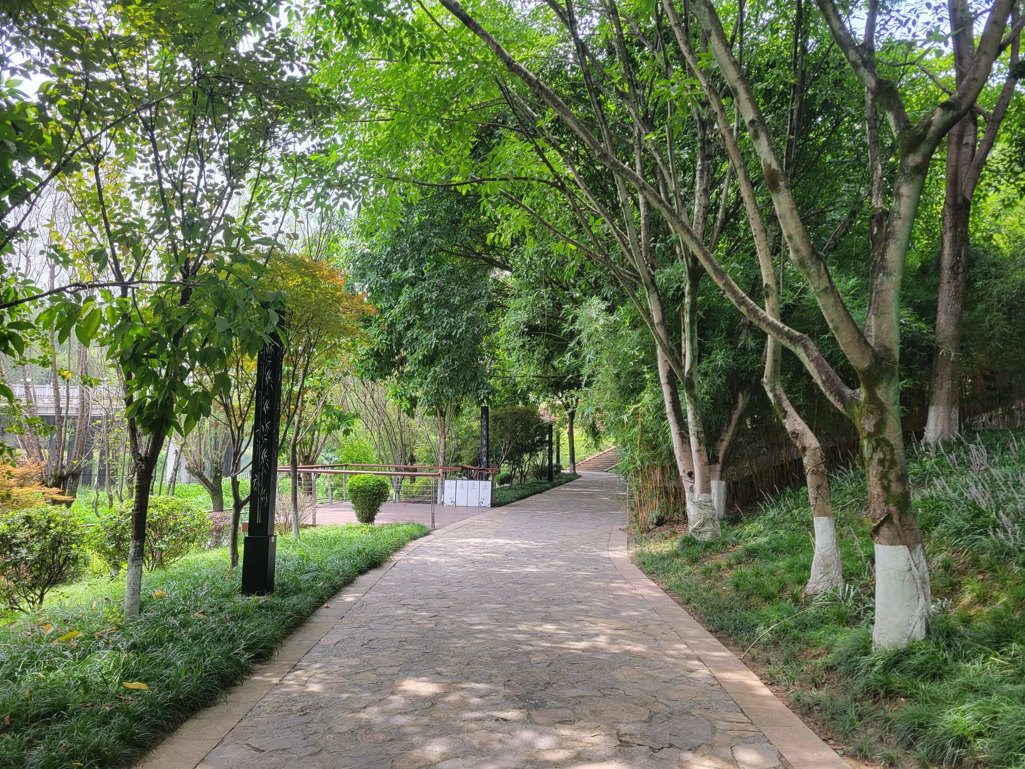 踏水公园旅行图片 2