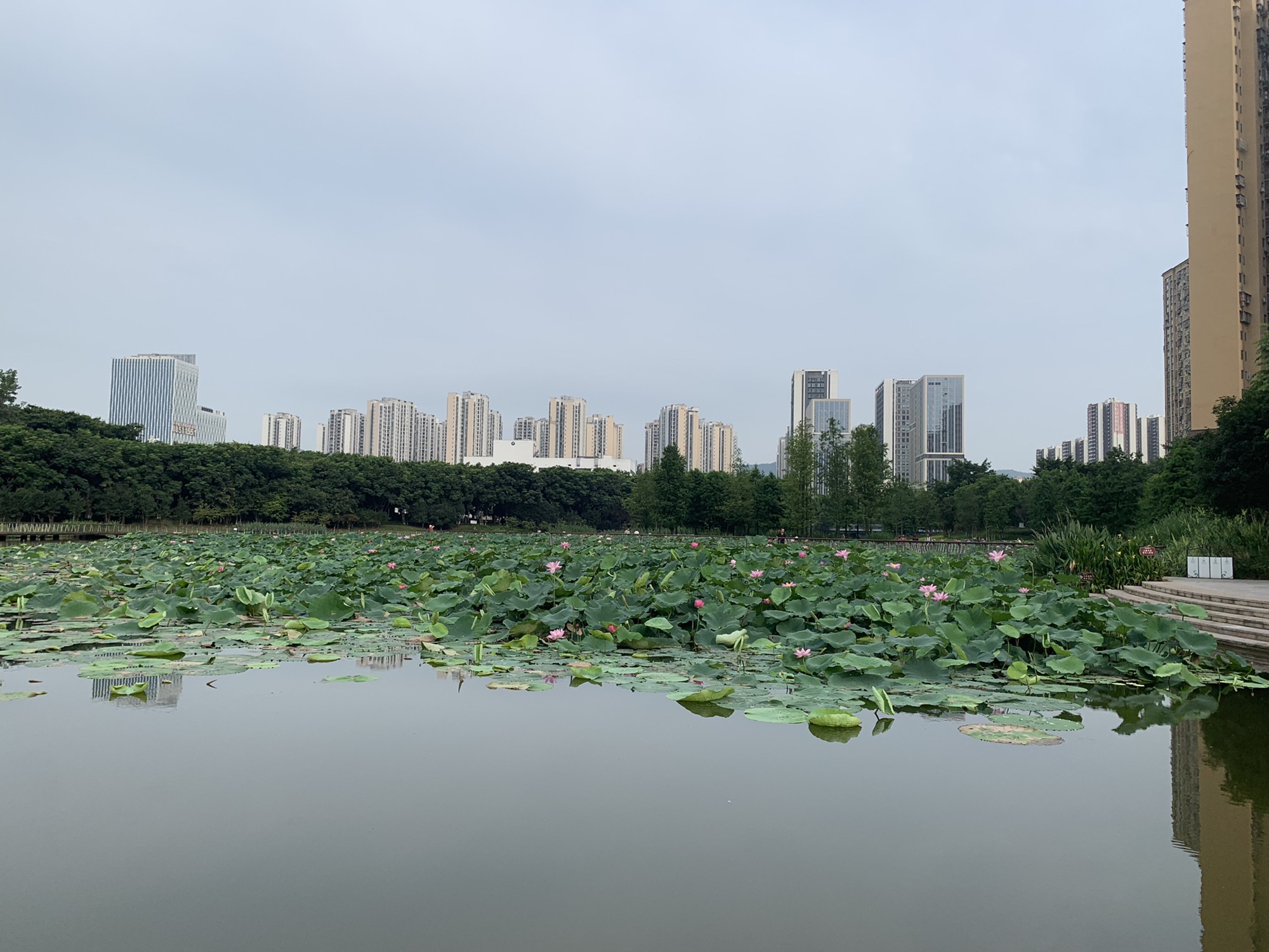 踏水公园旅行图片 2