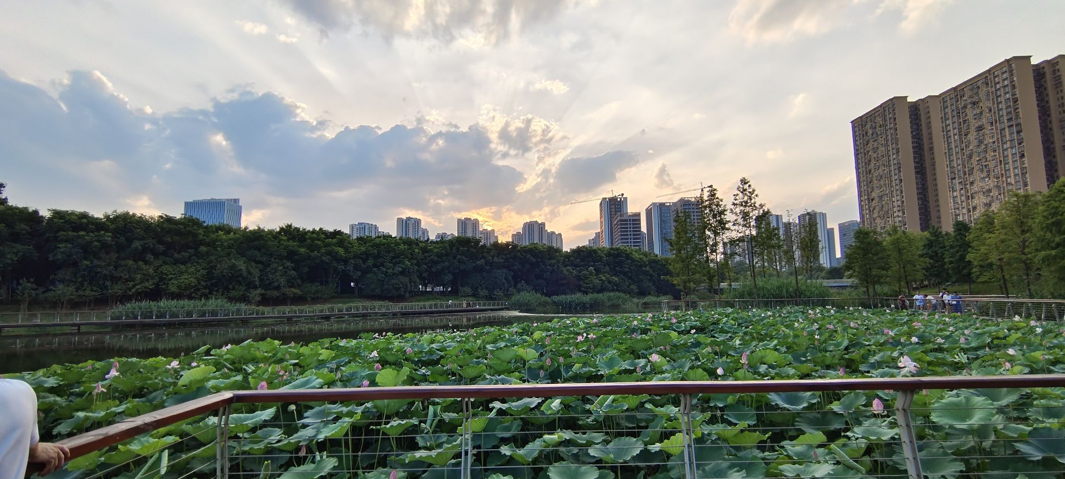 踏水公园旅行图片 2
