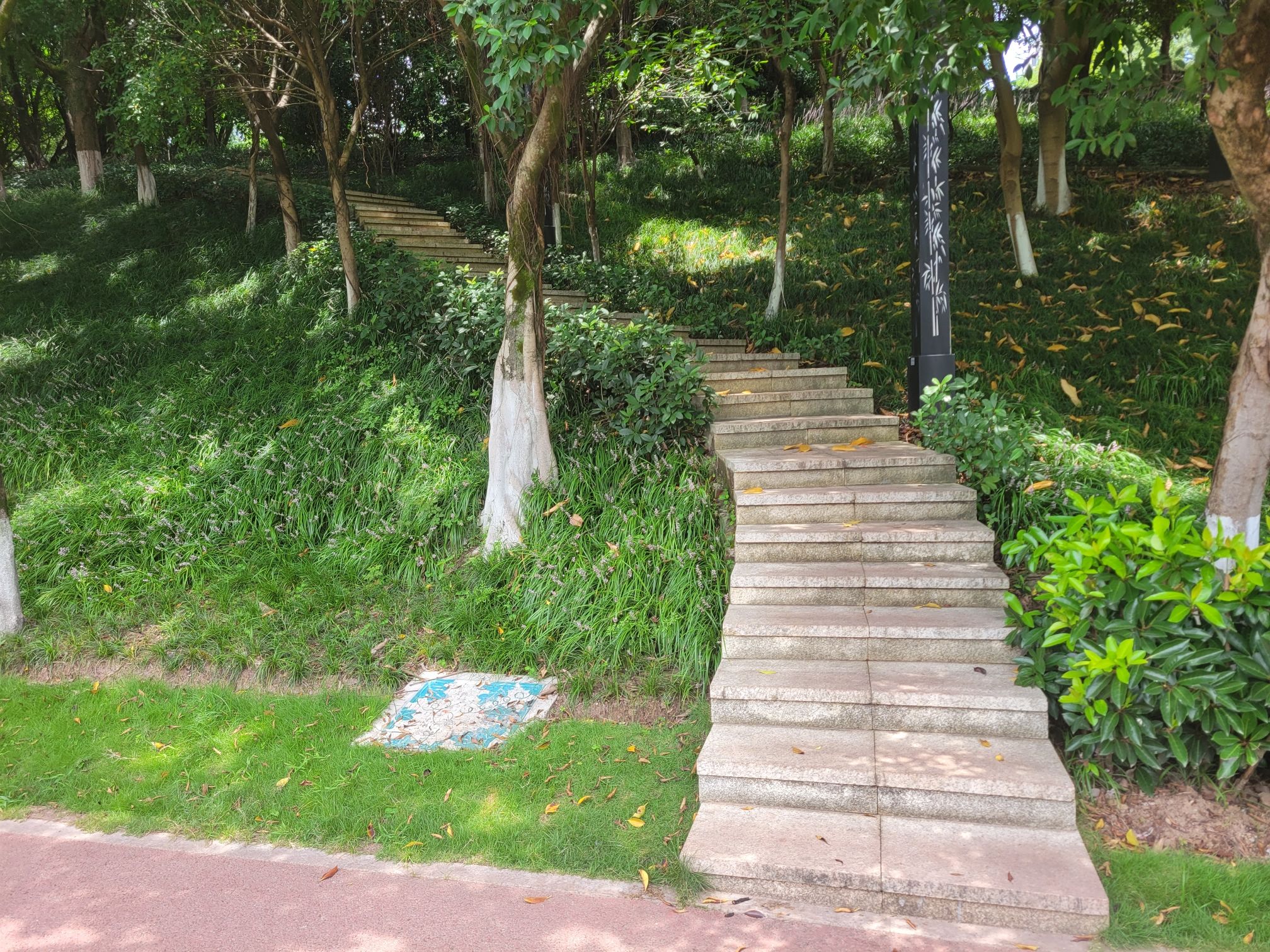 踏水公园旅行图片 3