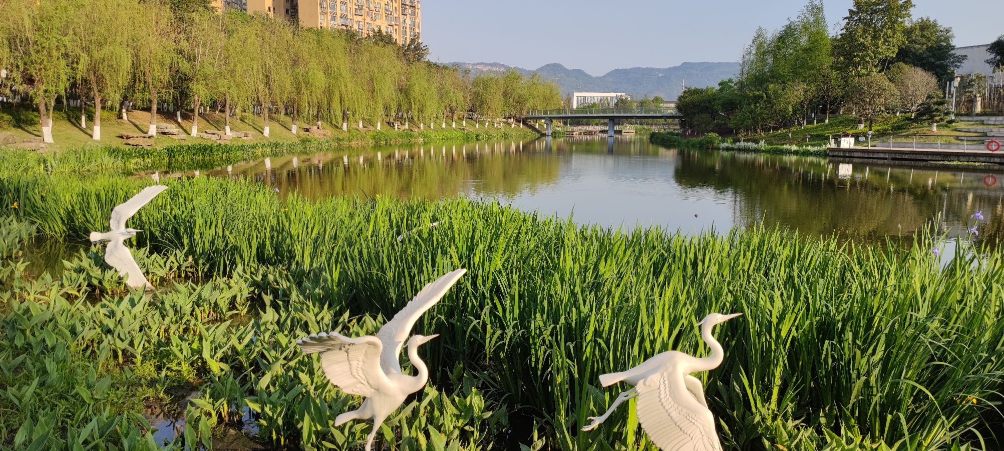 踏水公园旅行图片 3