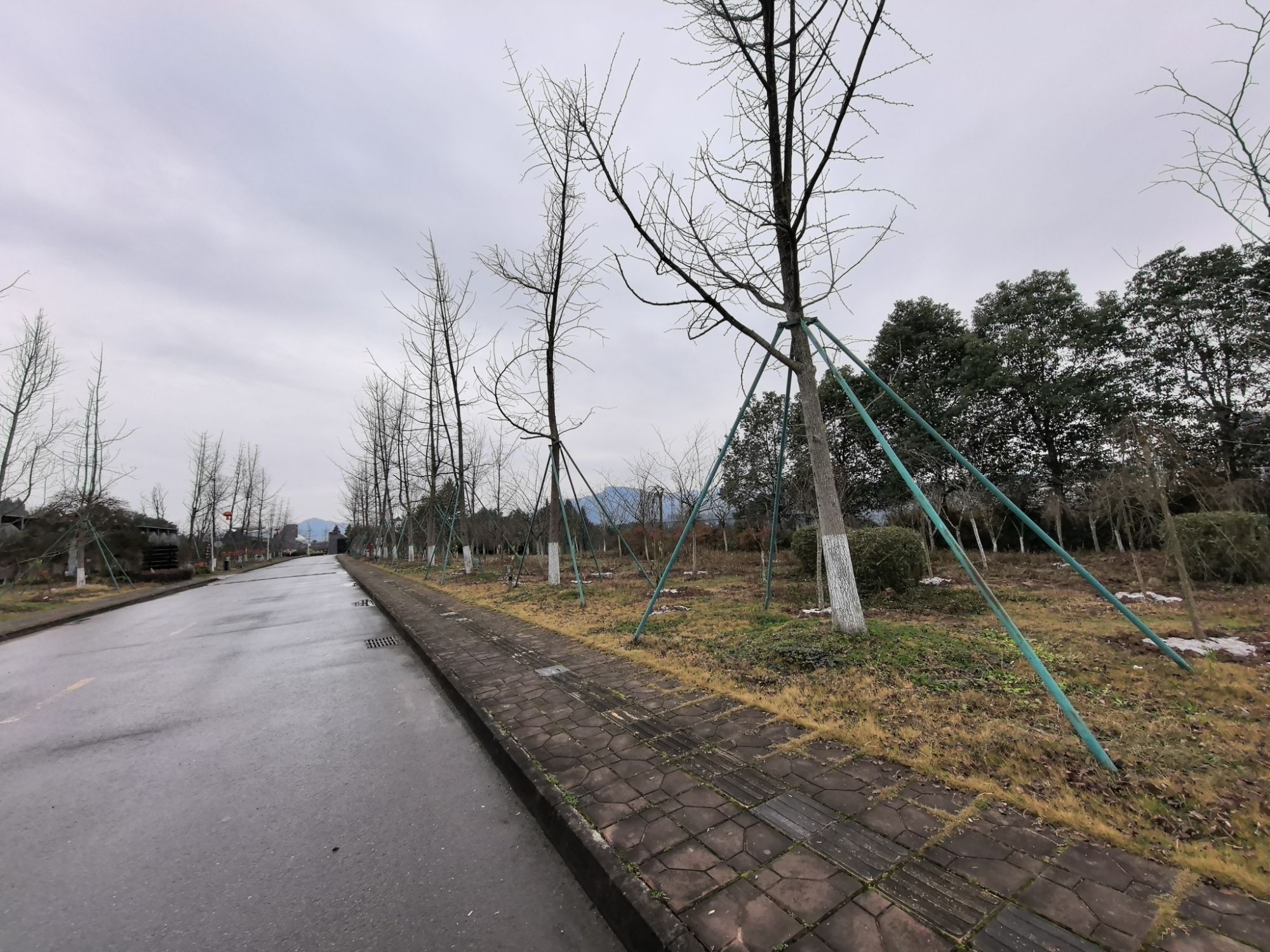 七彩佛龛景区旅行图片 1