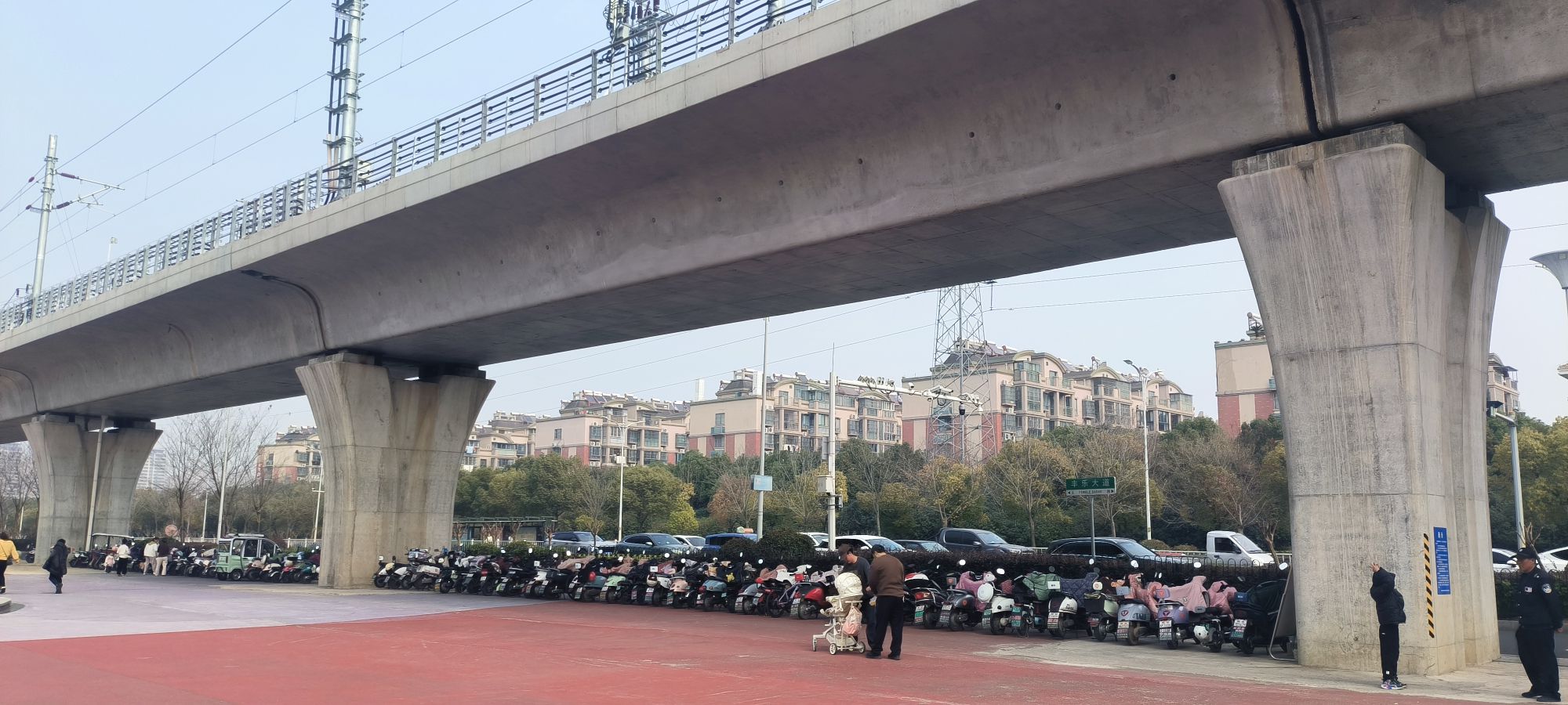 滁州花博园旅行图片 2