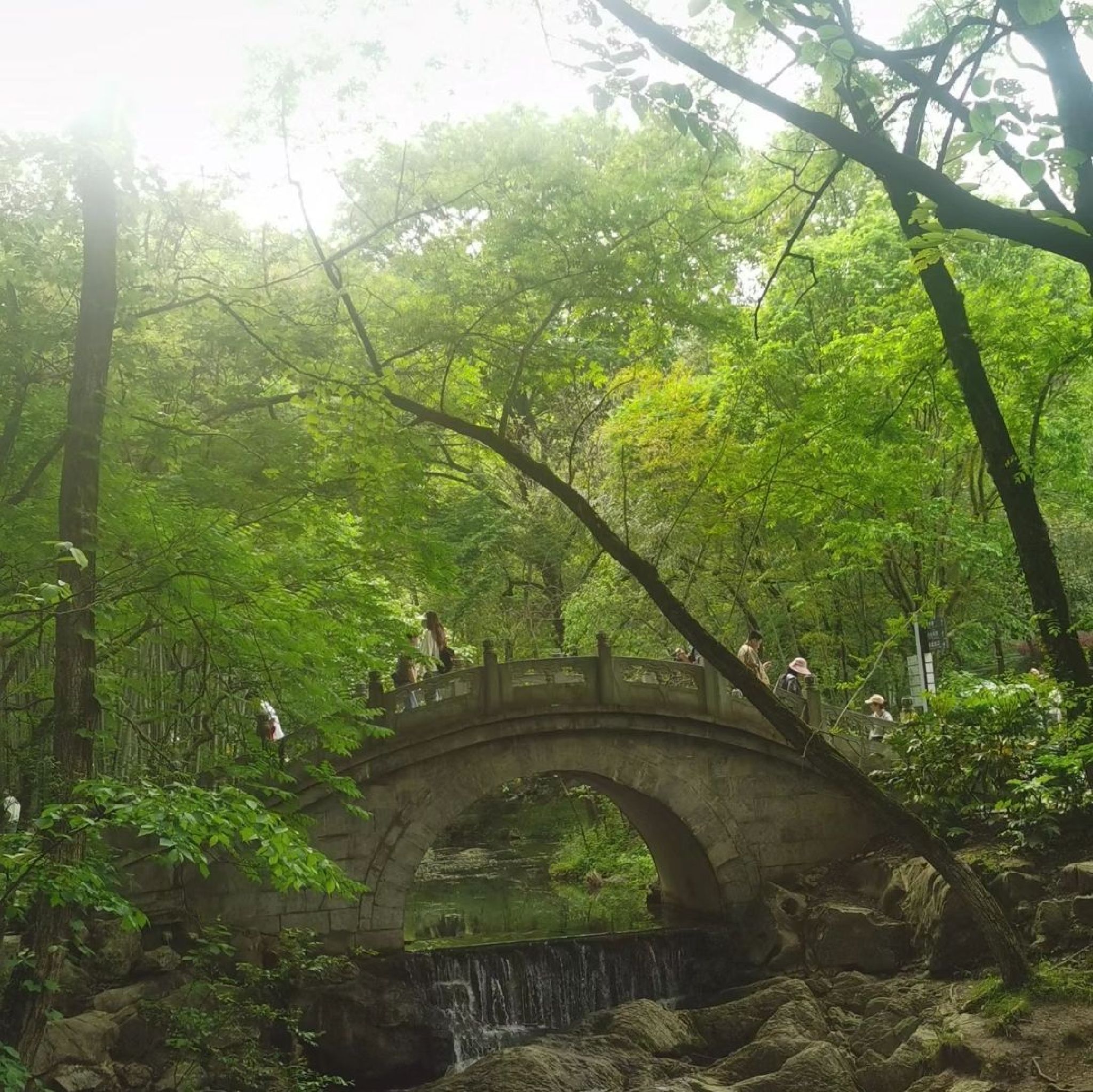 滁州花博园旅行图片 3