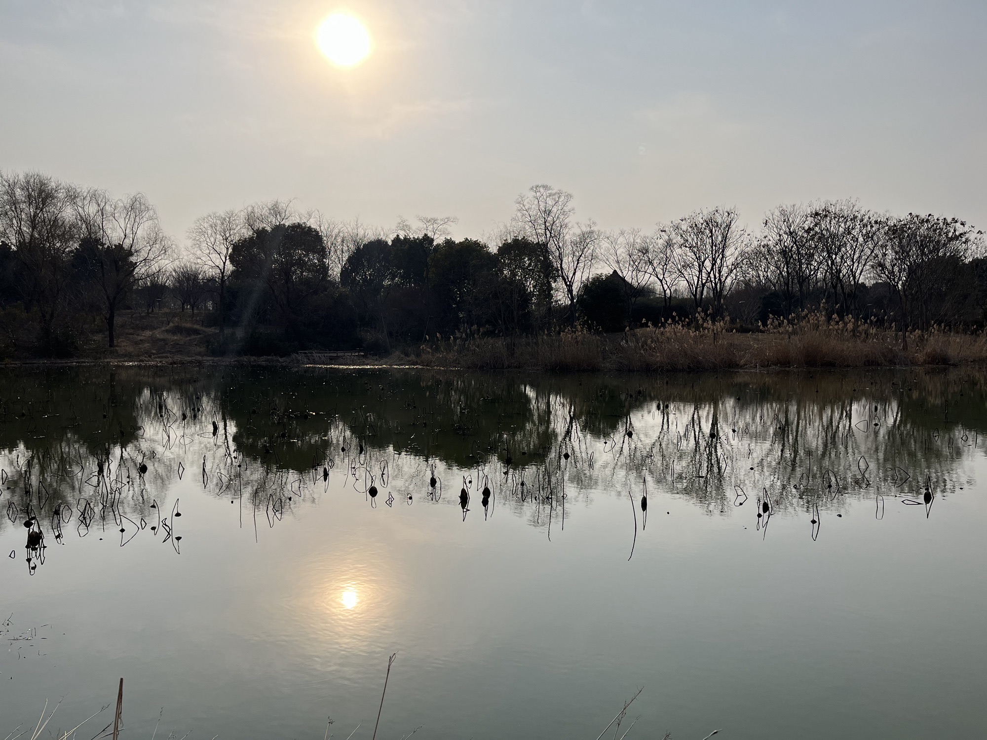 滁州花博园旅行图片 1