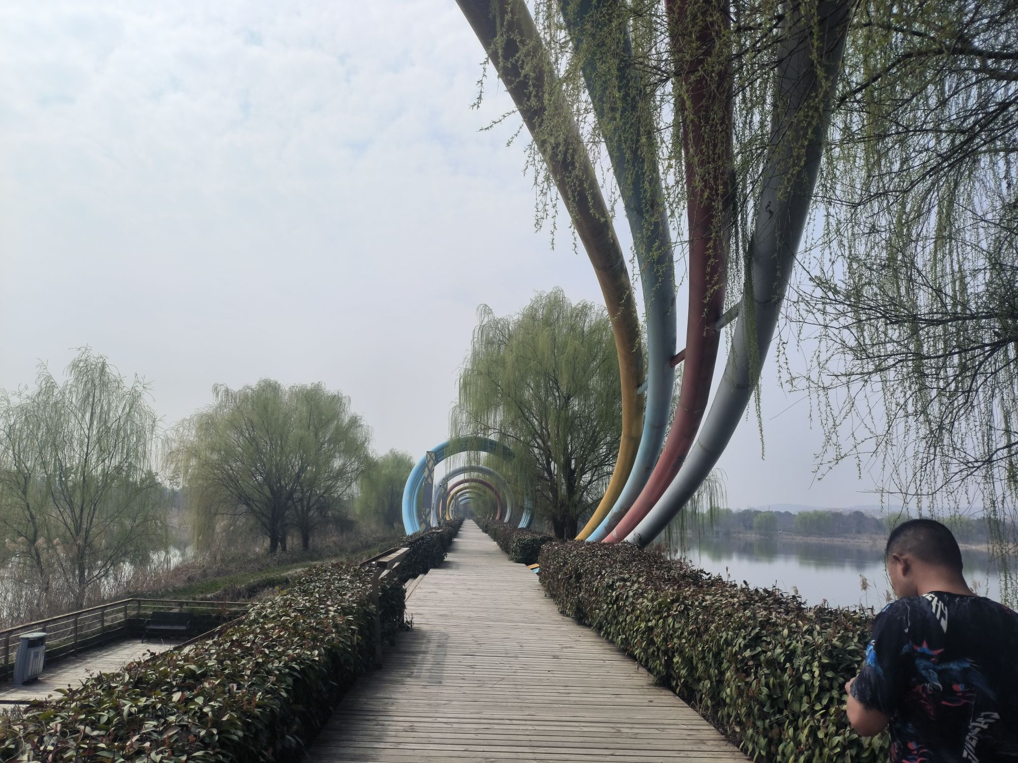 滁州花博园旅行图片 3