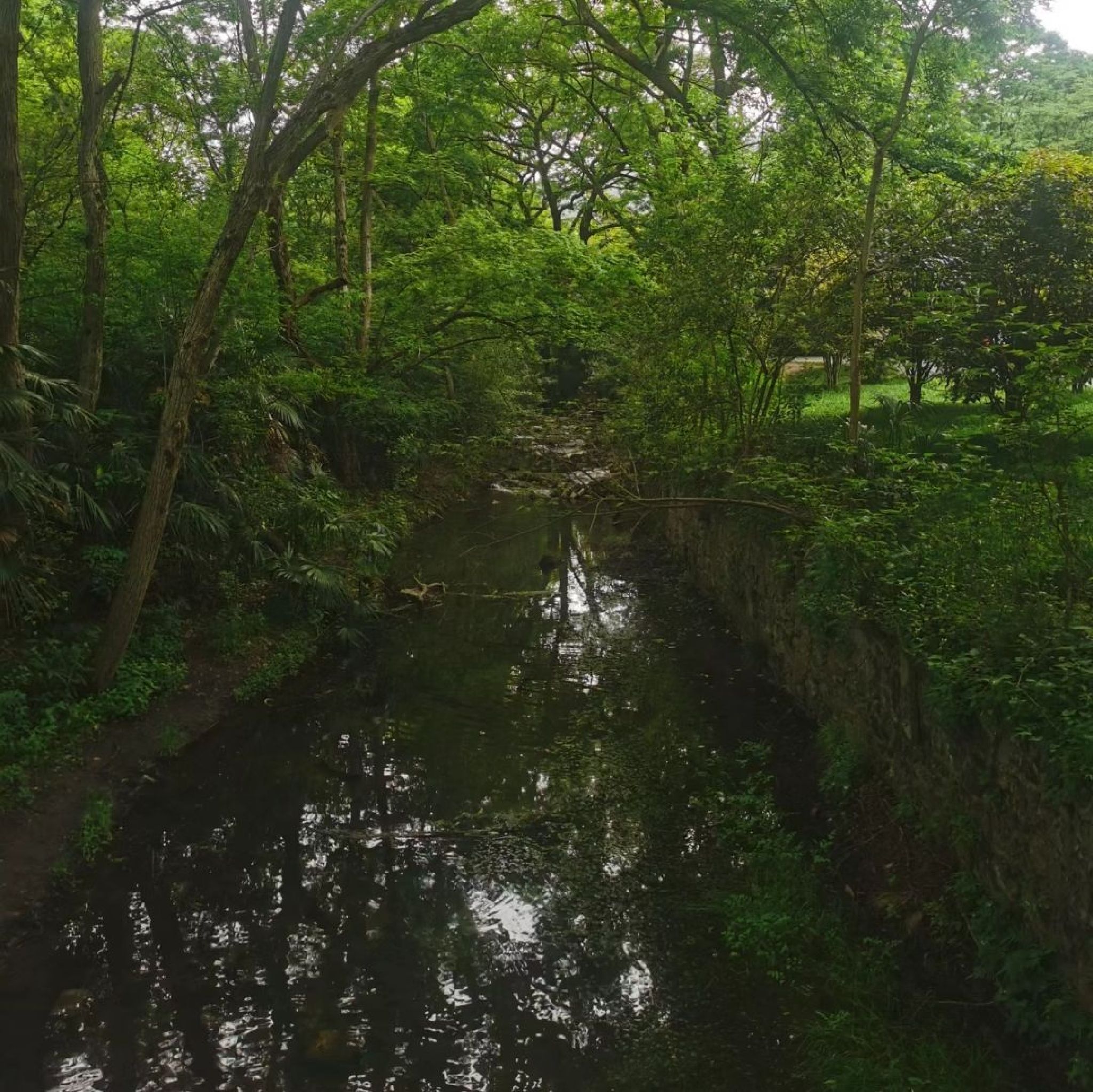 滁州花博园旅行图片 2