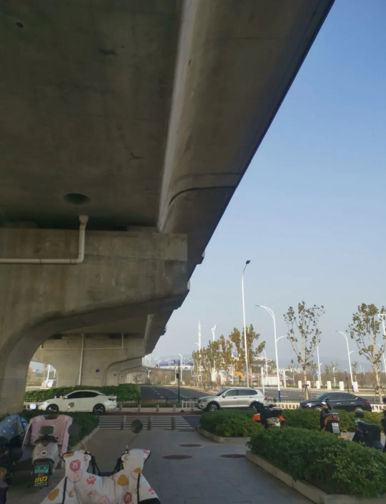 滁州花博园旅行图片 3
