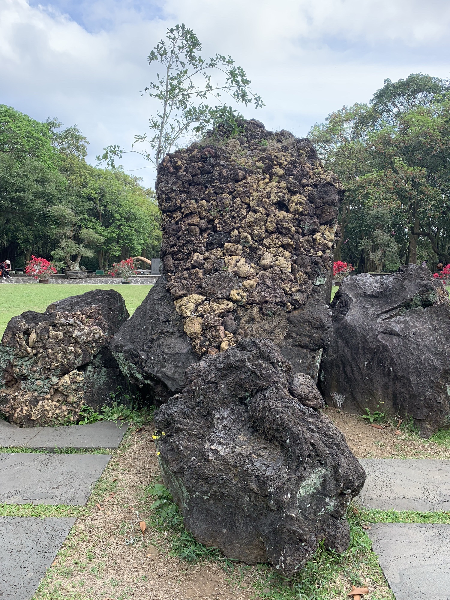 雷琼世界地质公园(海口园区)-金蟾迎客