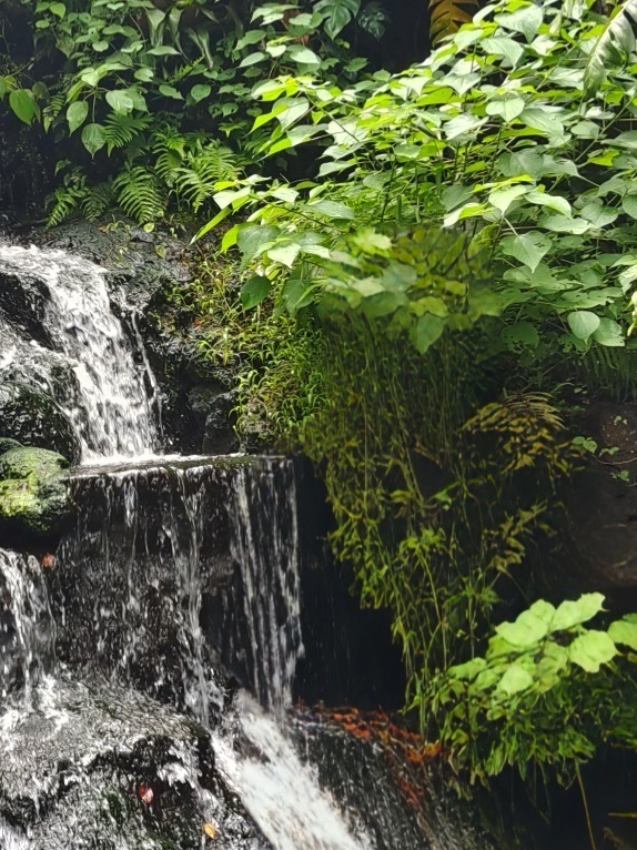 火山荔枝博览园