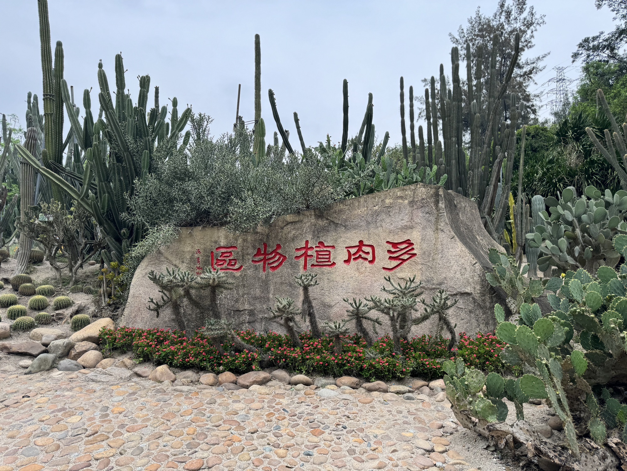 Xiamen Botanical Garden - Succulent Plant Area