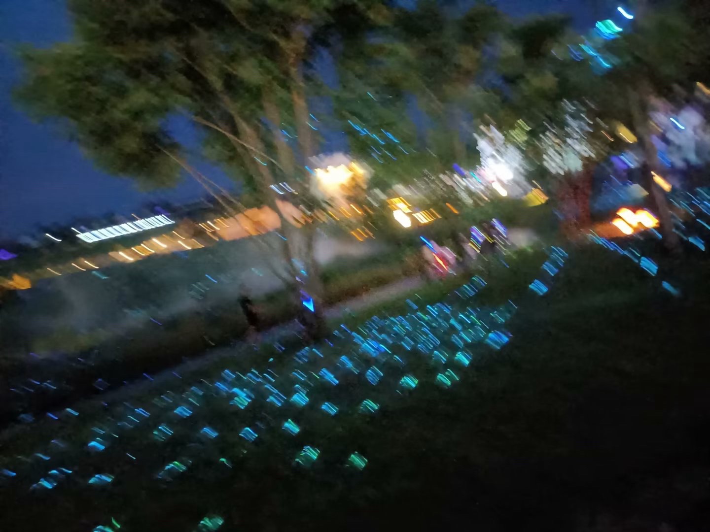 罗文花海旅行图片 3