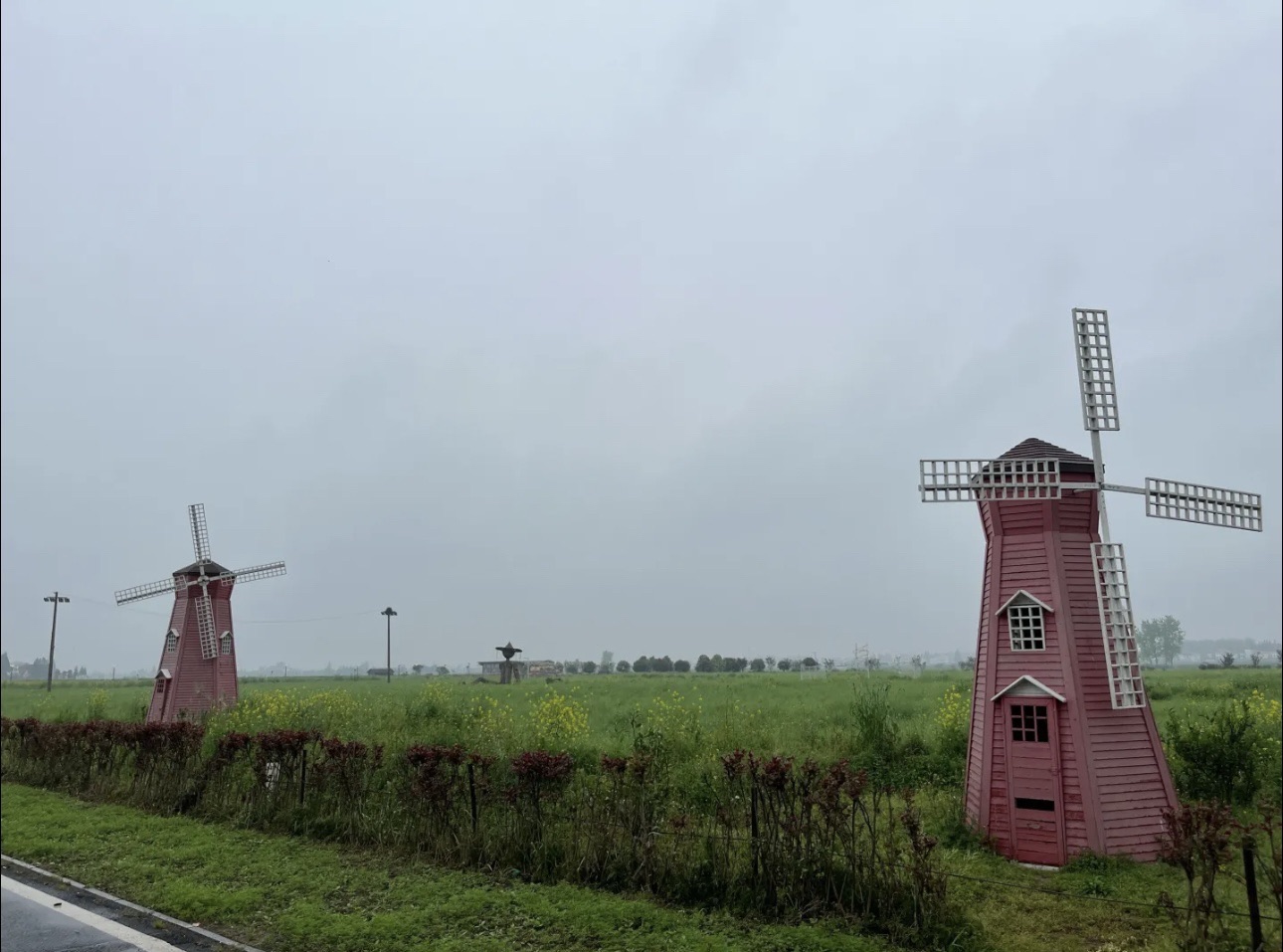 罗文花海旅行图片 2