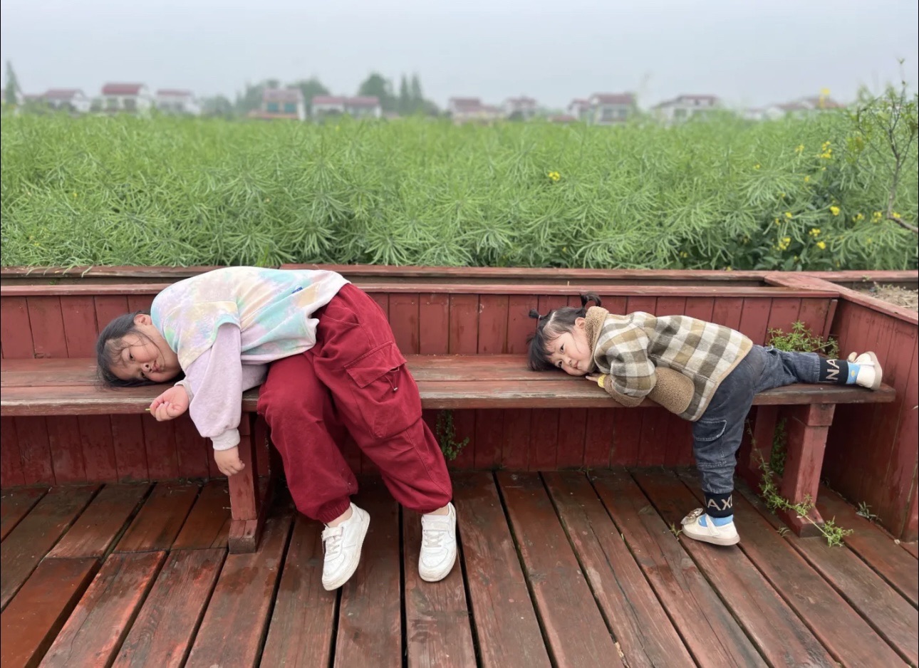 罗文花海旅行图片 3