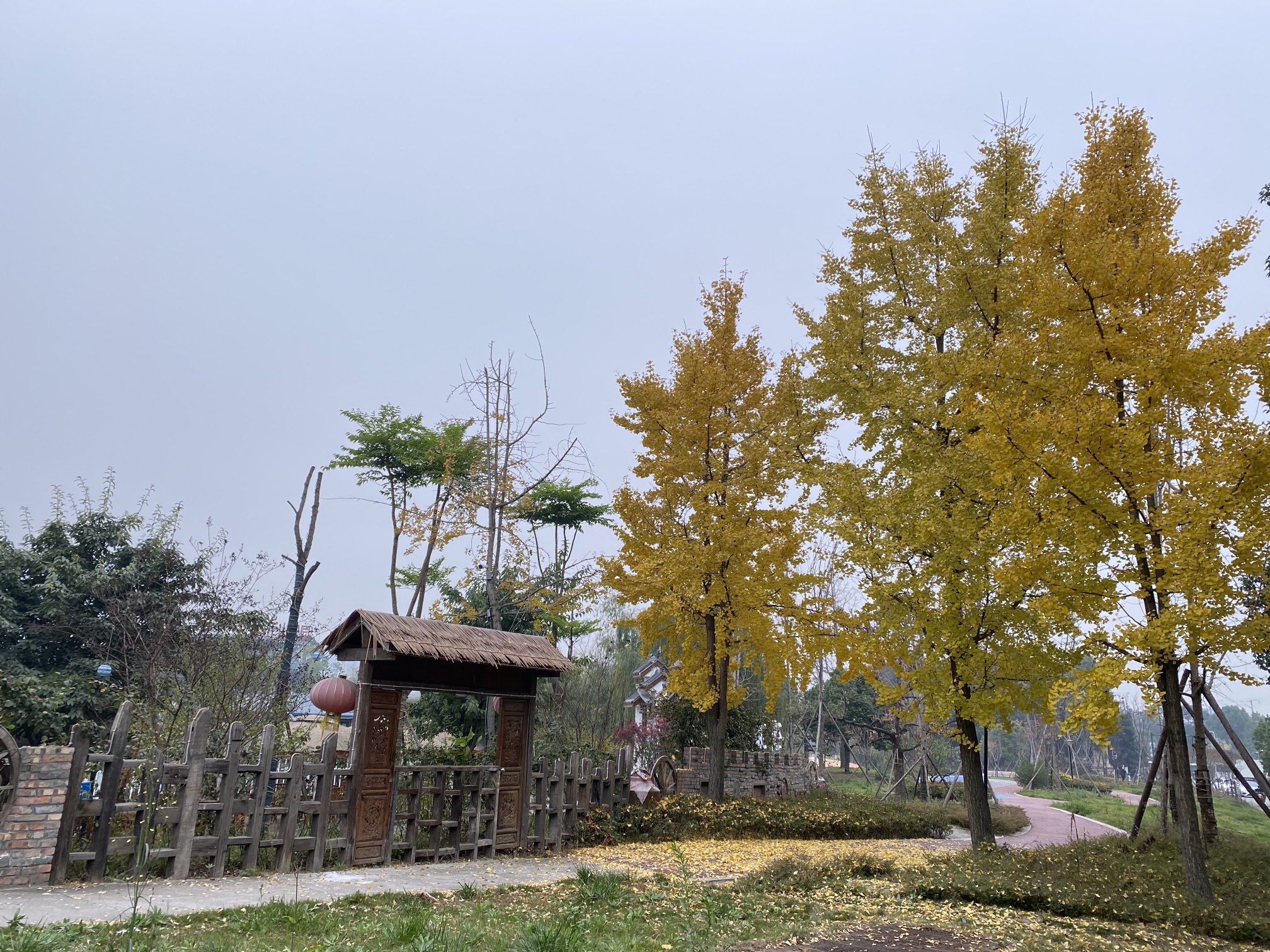 万科五龙山公园旅行图片 2