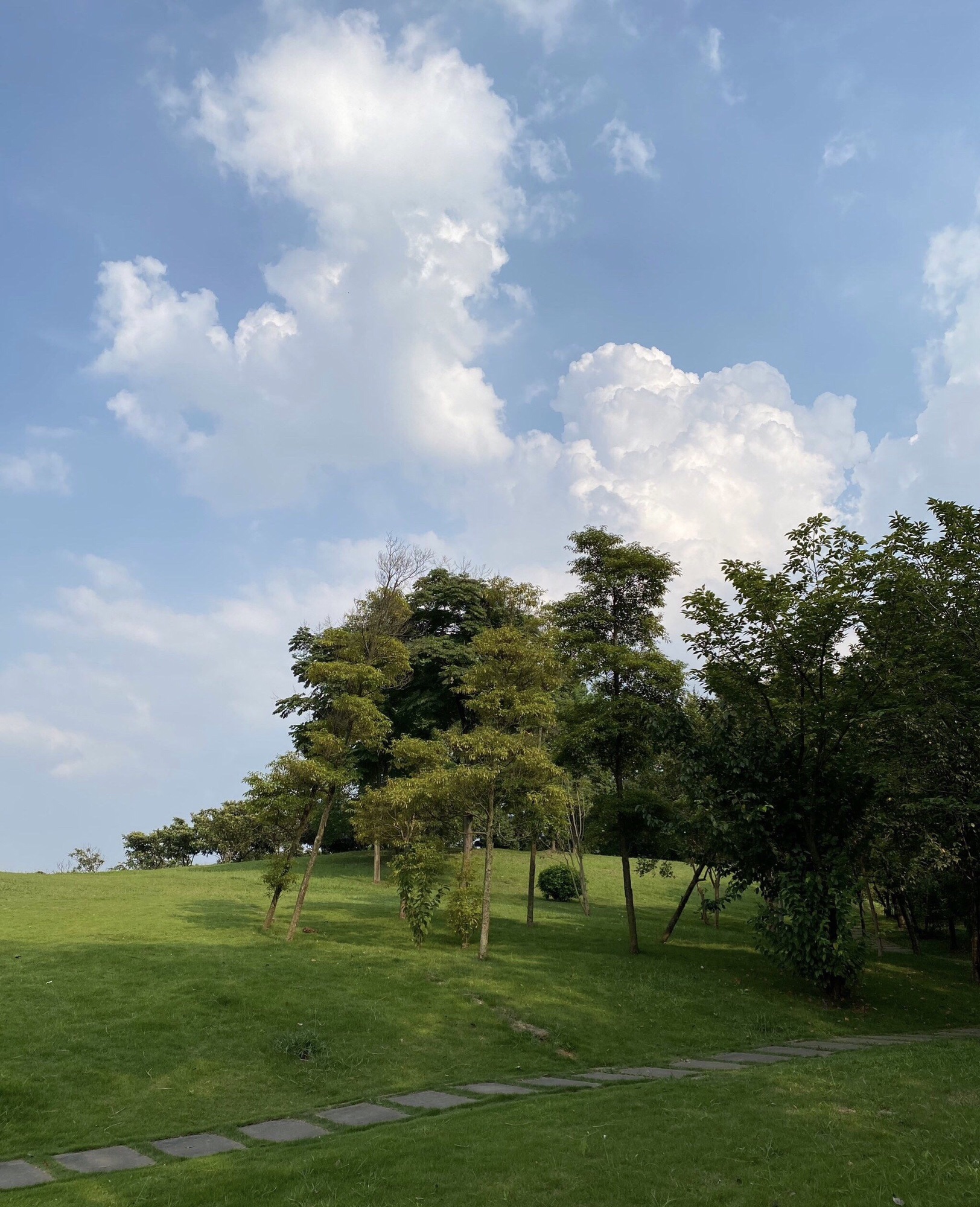 万科五龙山公园旅行图片 2