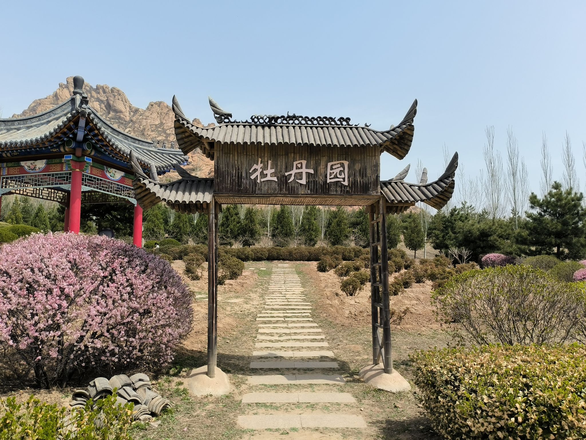 天涯山风景区-牡丹园
