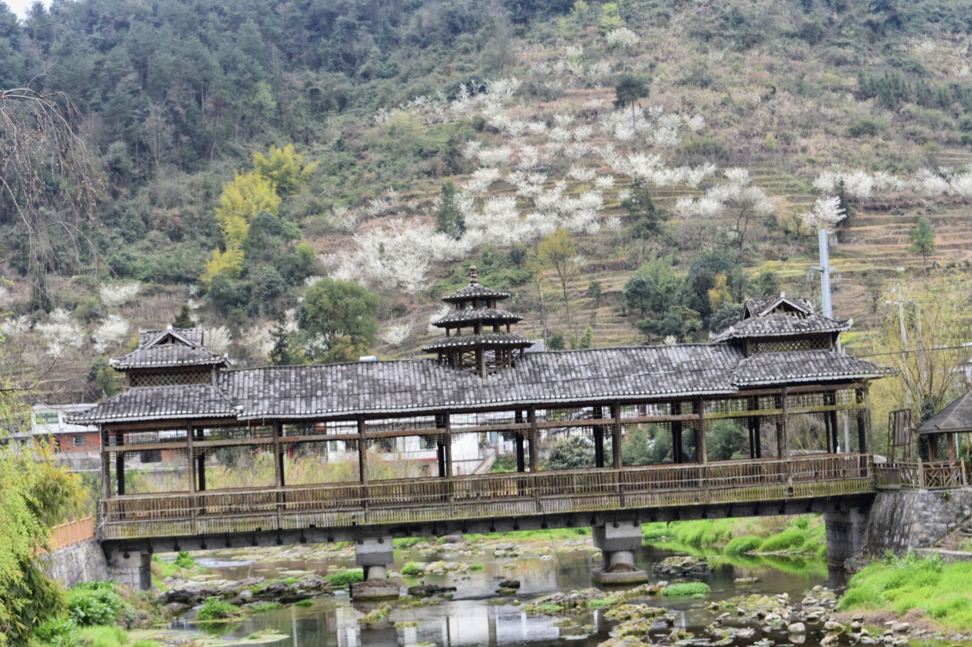 松江苗寨旅行图片 2