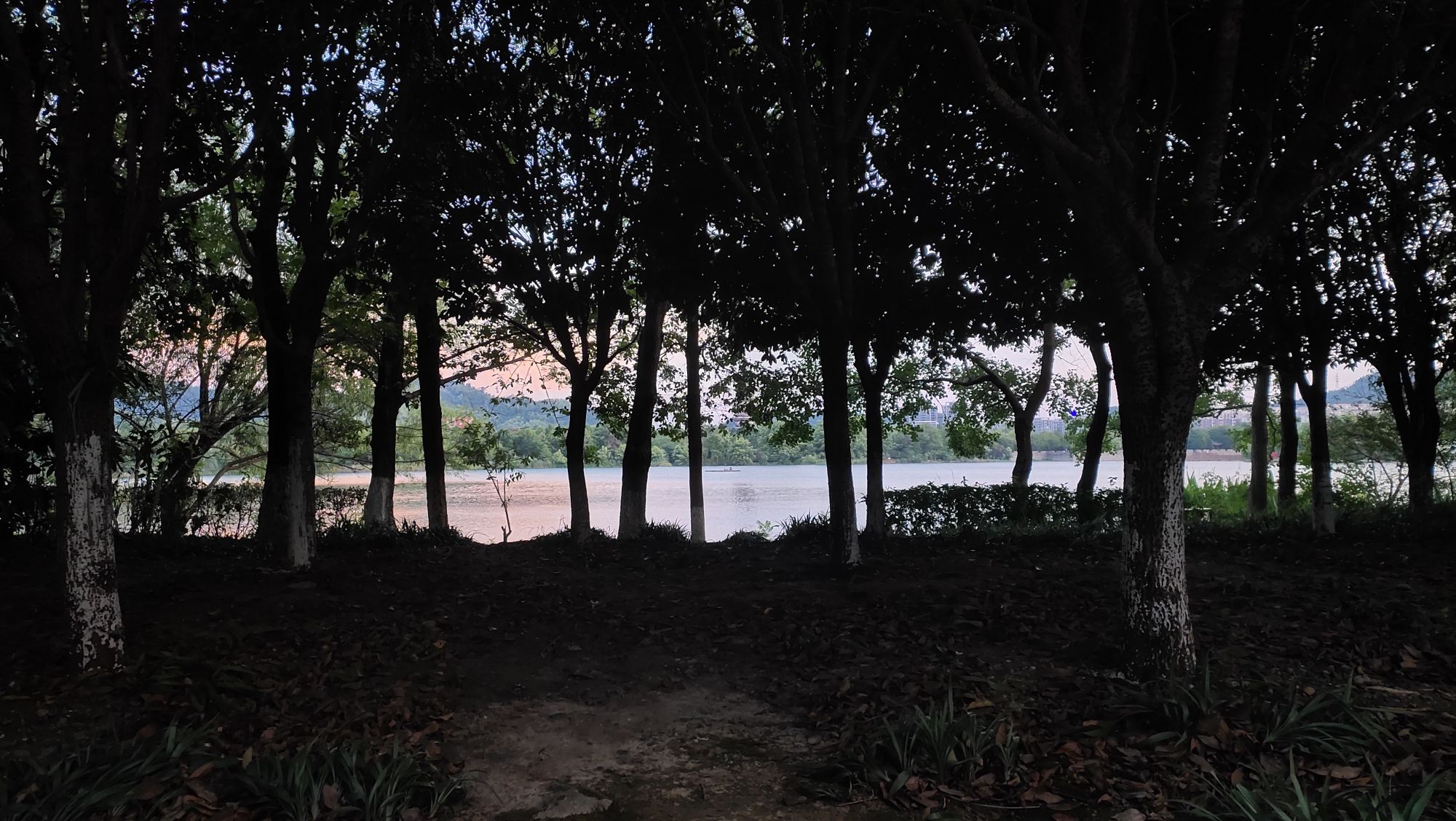 白云湖广场旅行图片 2