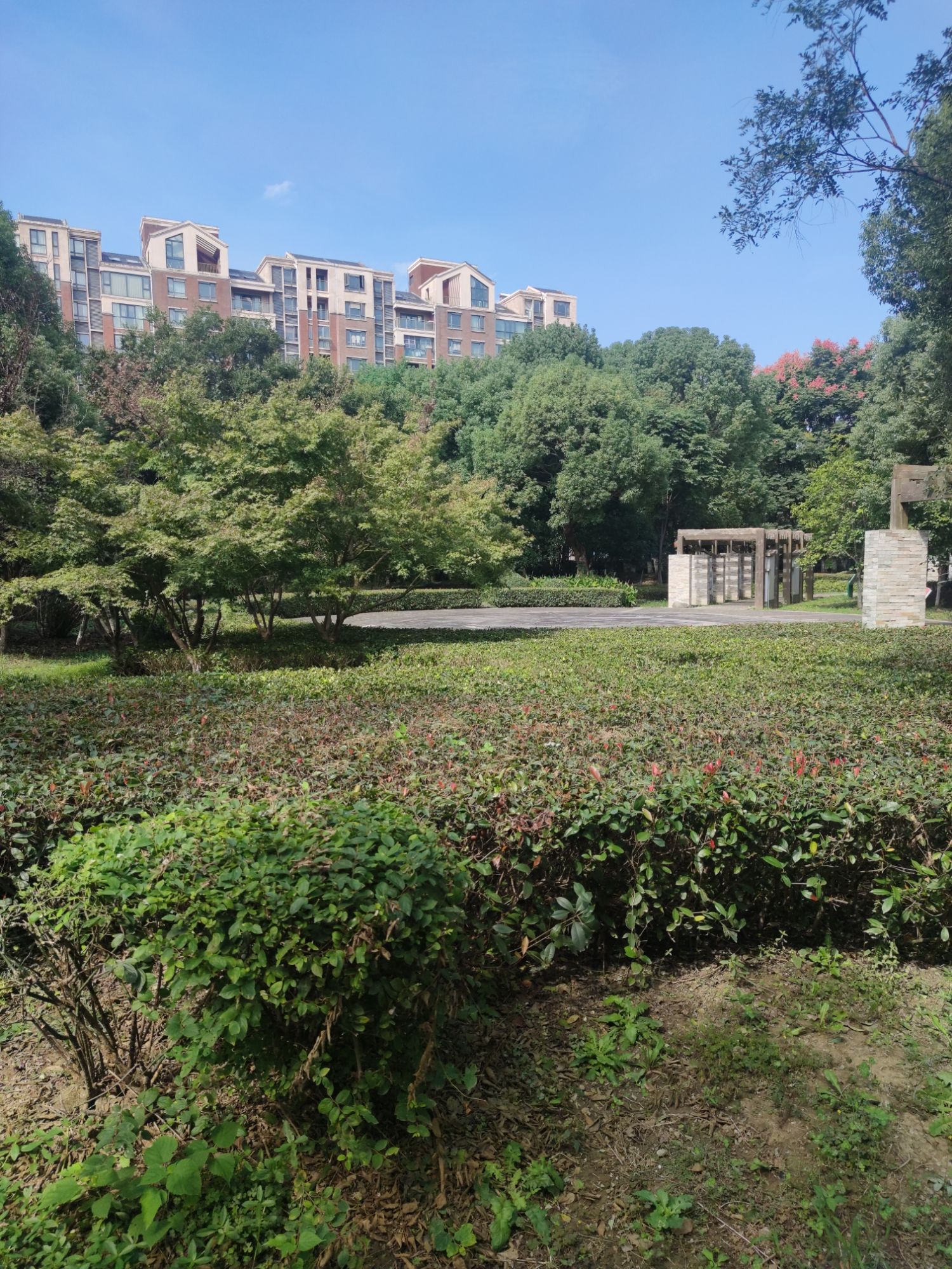 鑫城湖公园旅行图片 3