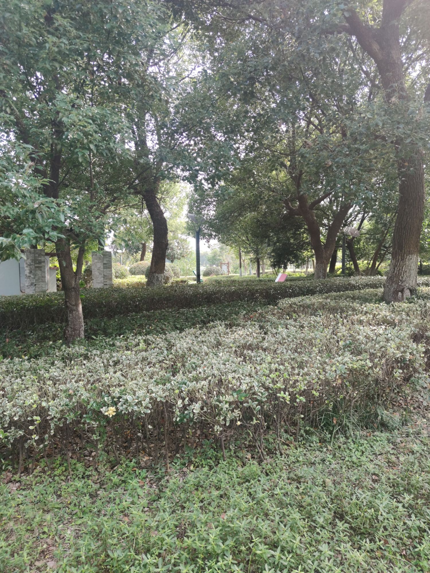 鑫城湖公园旅行图片 2