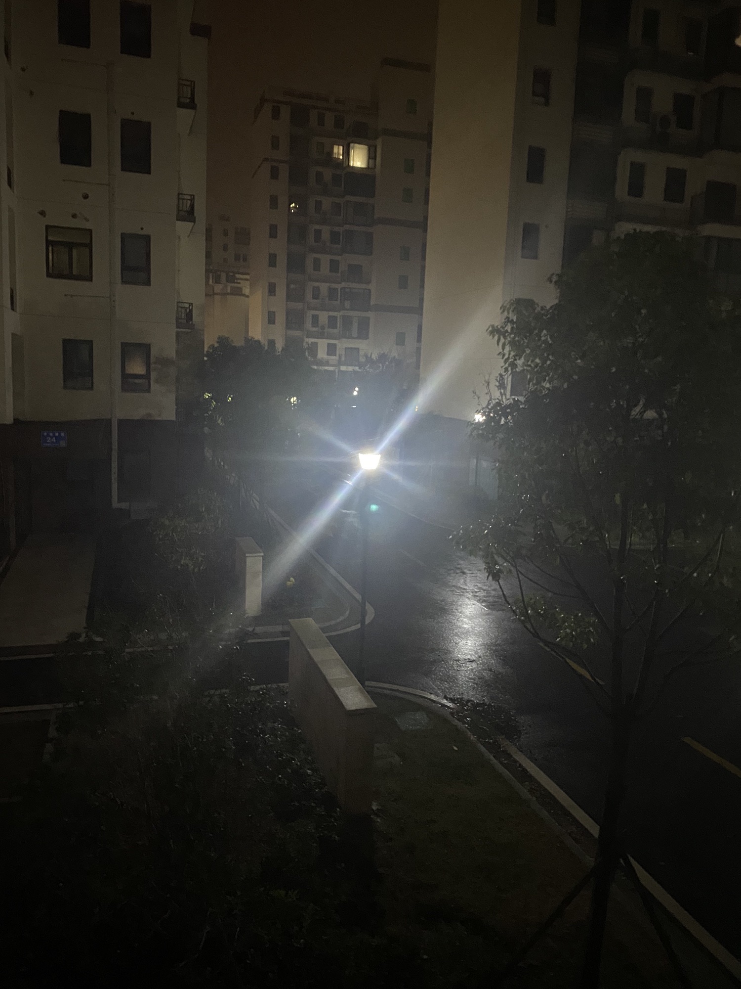 鑫城湖公园旅行图片 1