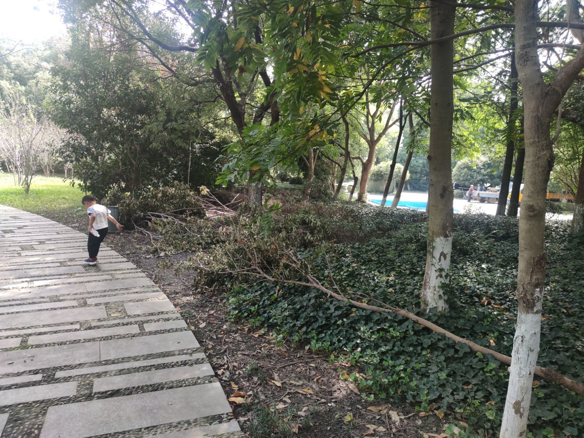 鑫城湖公园旅行图片 1