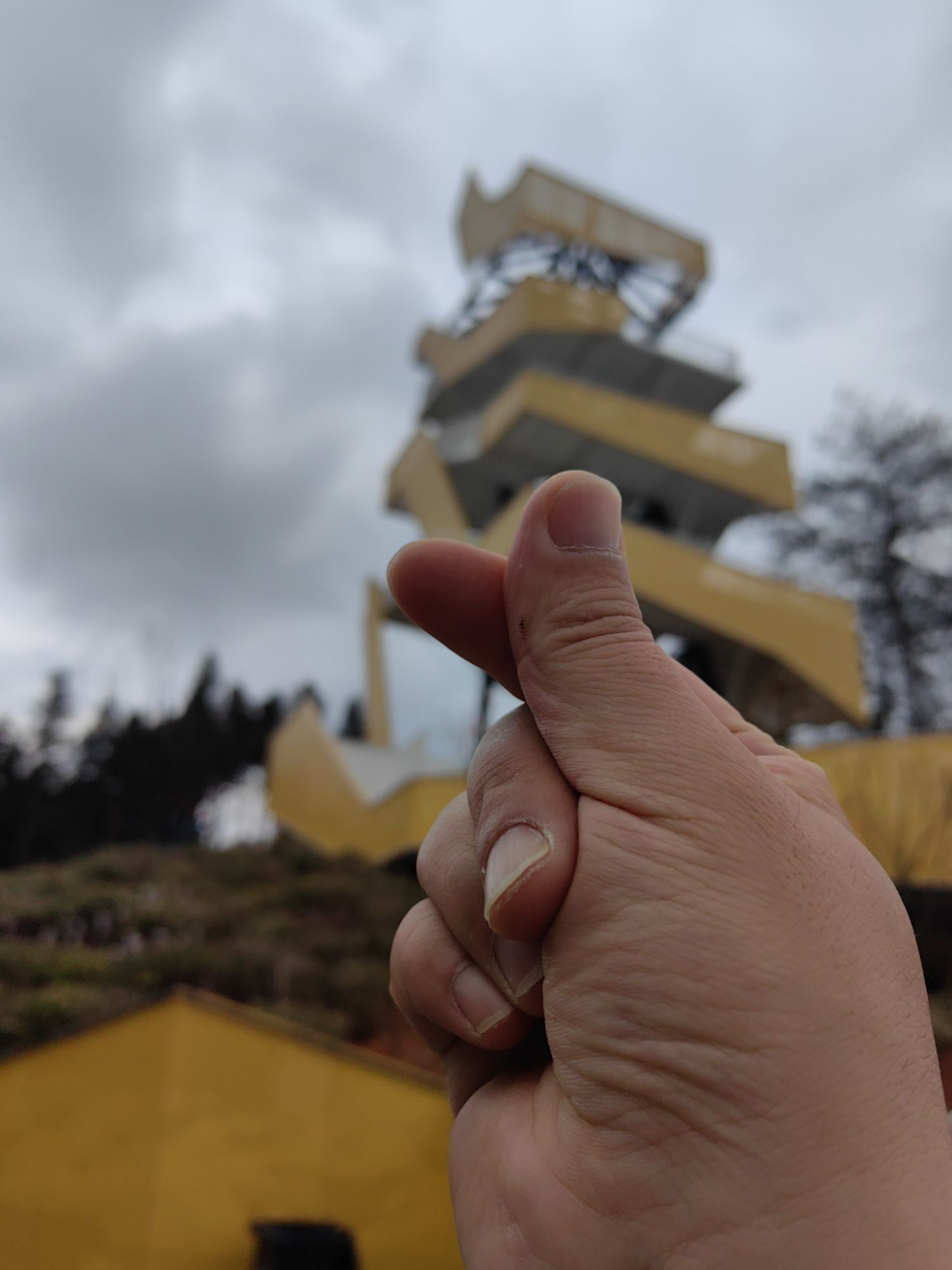 漕溪花海旅行图片 2