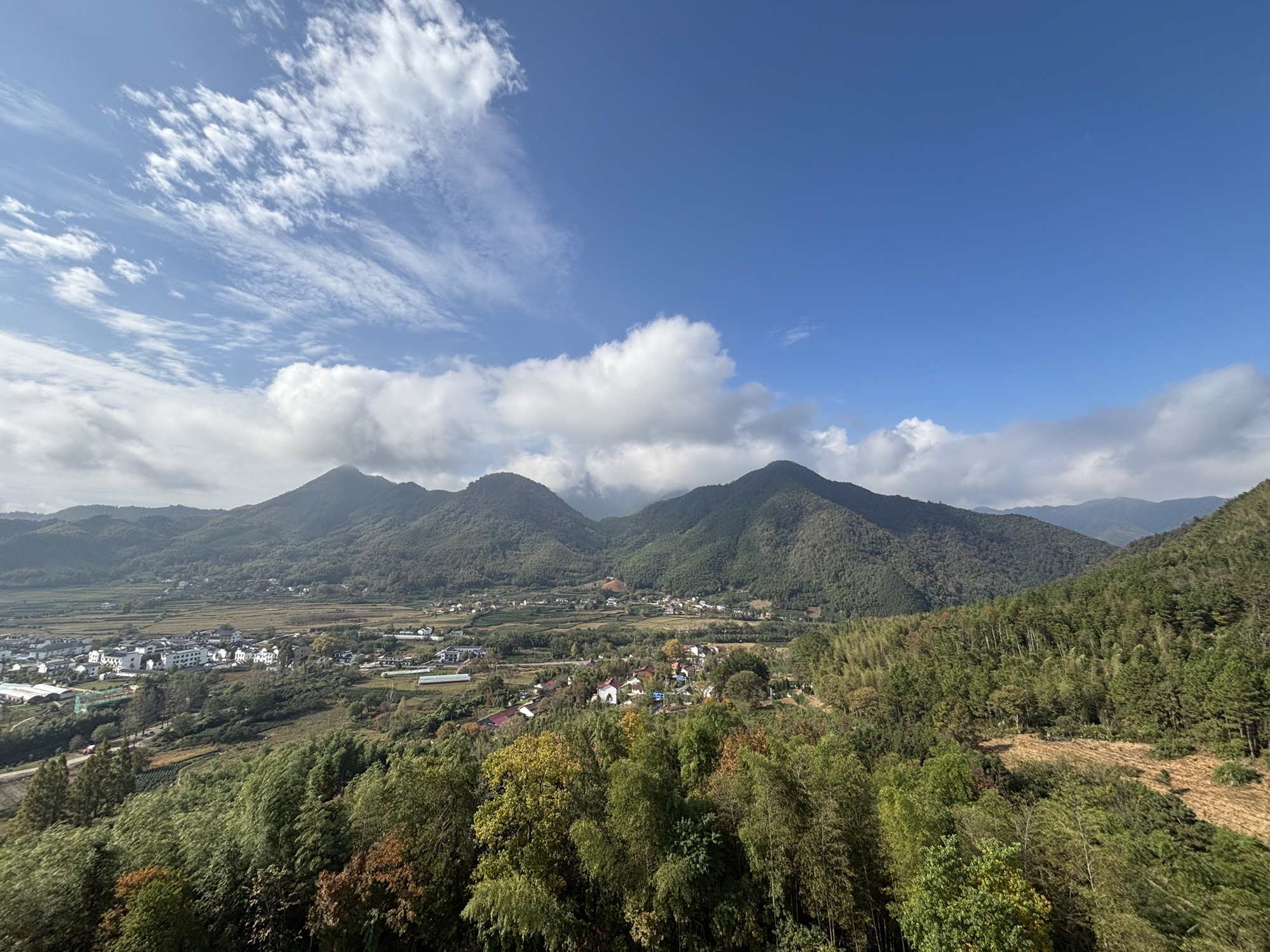 漕溪花海旅行图片 1