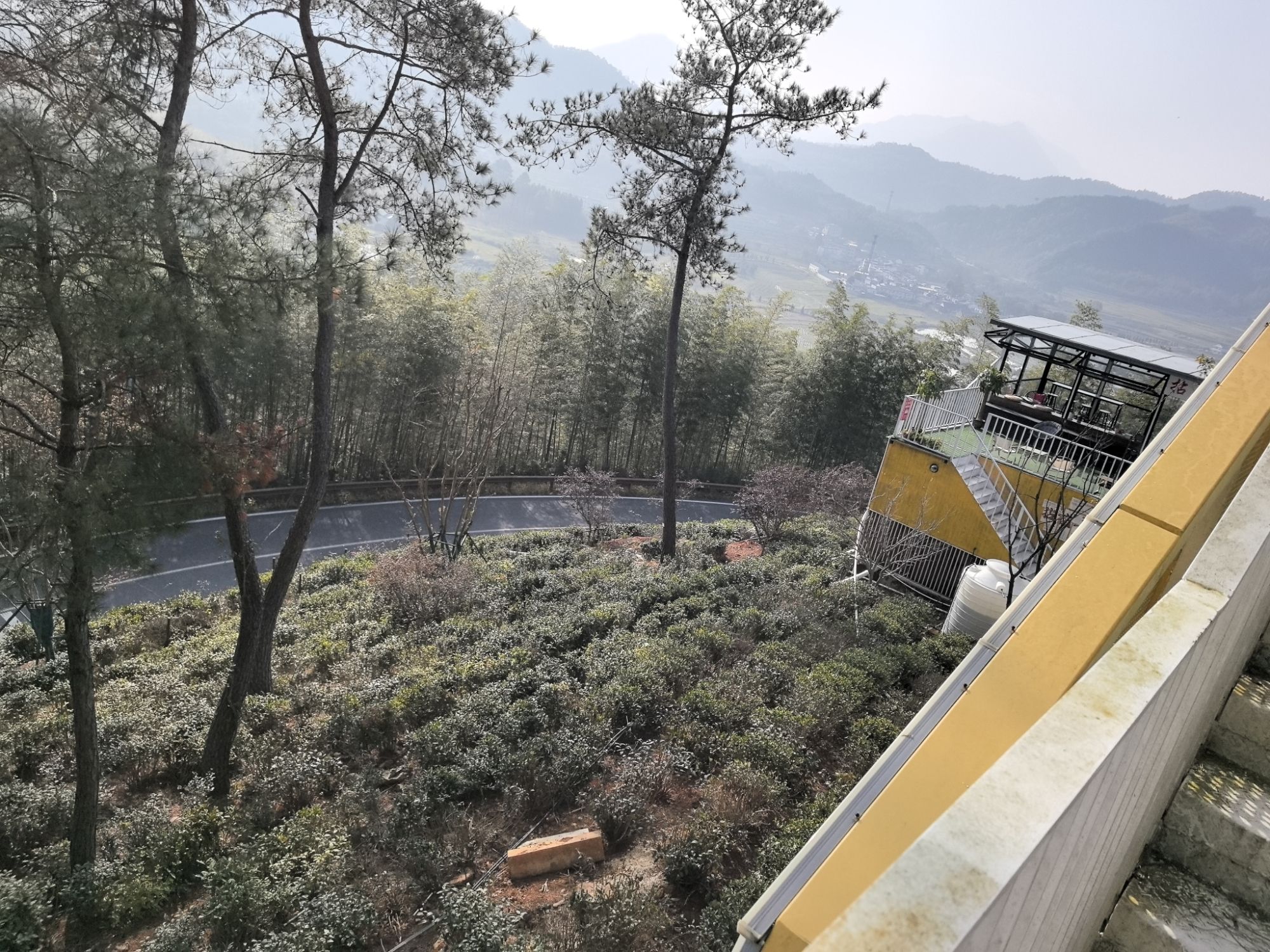 漕溪花海旅行图片 3