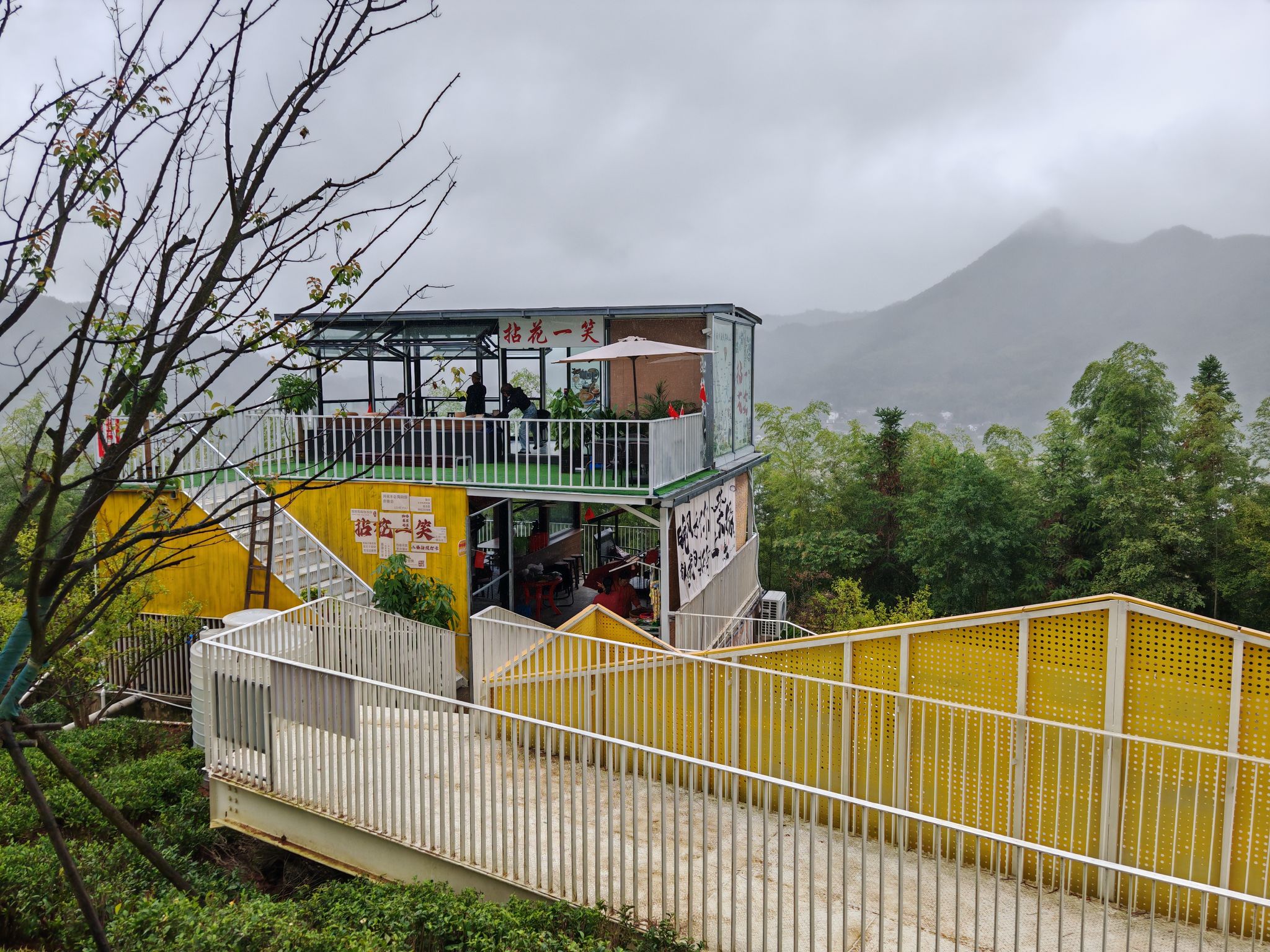 漕溪花海旅行图片 1