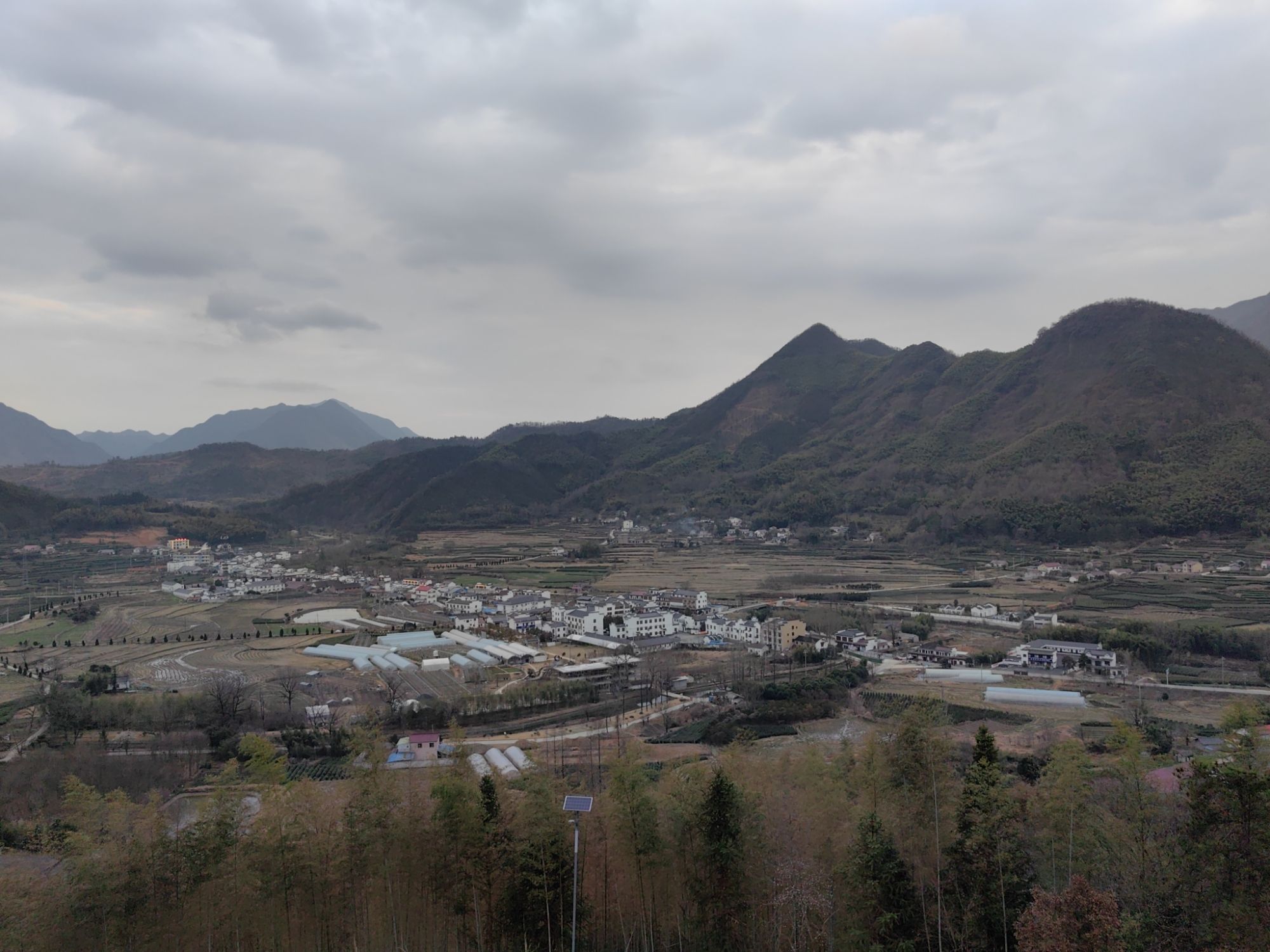 漕溪花海旅行图片 3