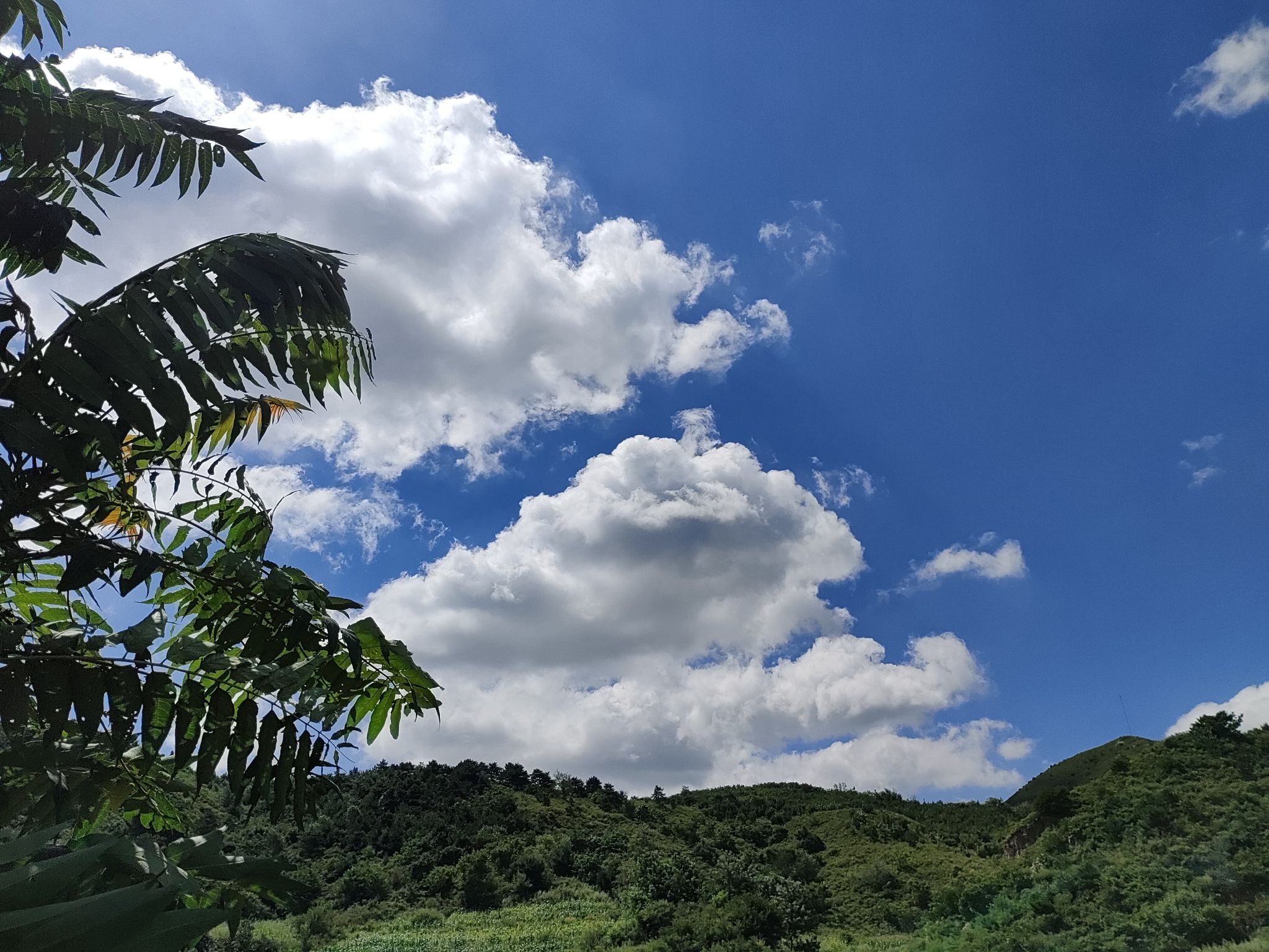 龙王山水庄园(暂停开放)旅行图片 1