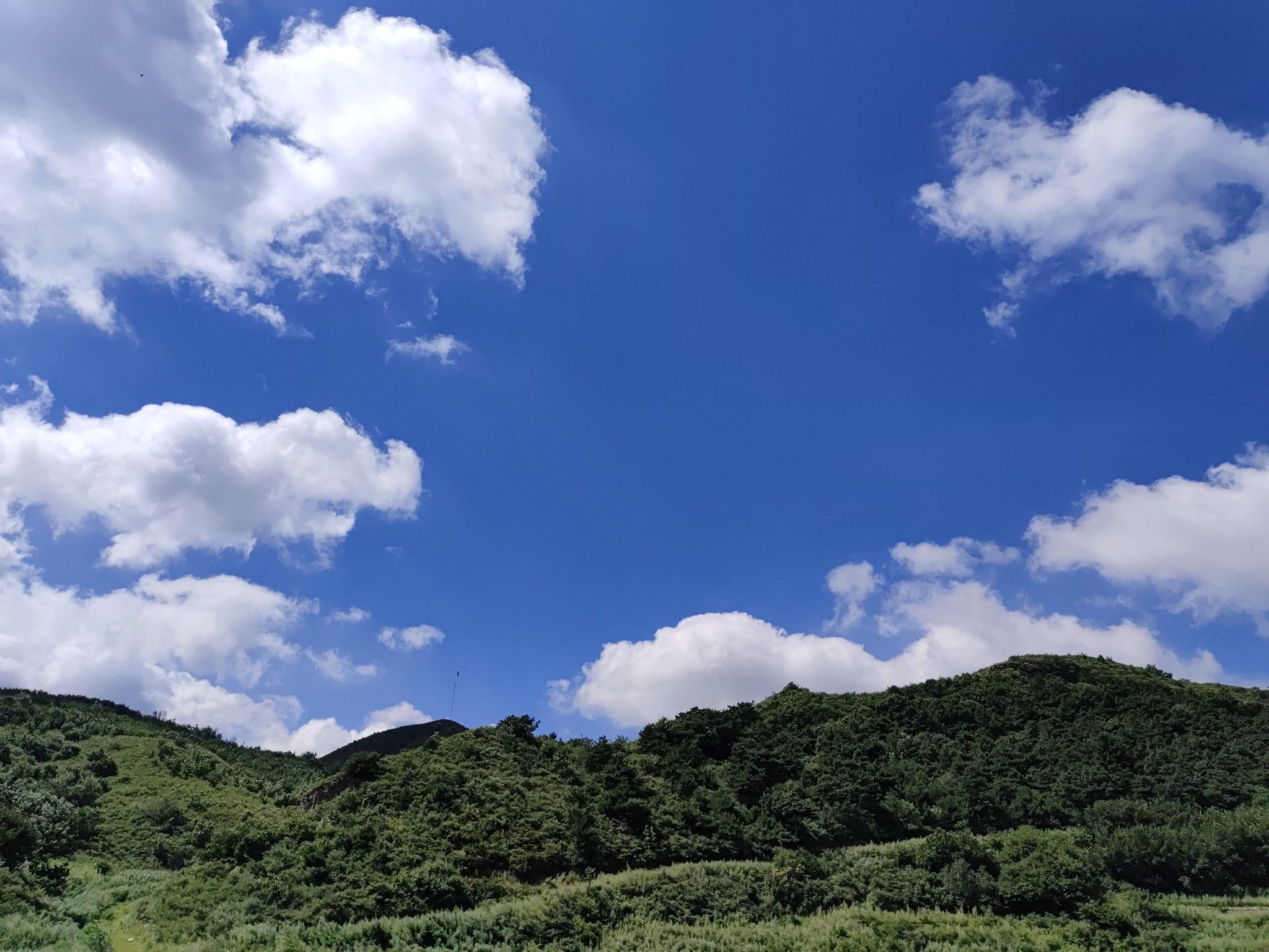龙王山水庄园(暂停开放)旅行图片 2