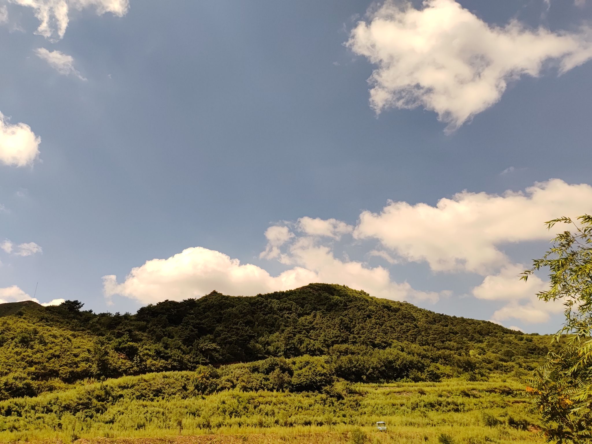 龙王山水庄园(暂停开放)旅行图片 3