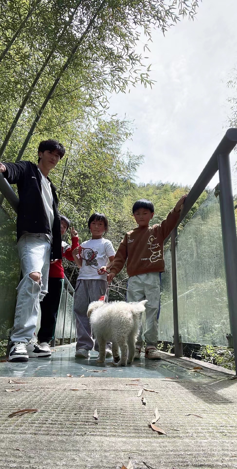 裘岙玻璃道旅行图片 3